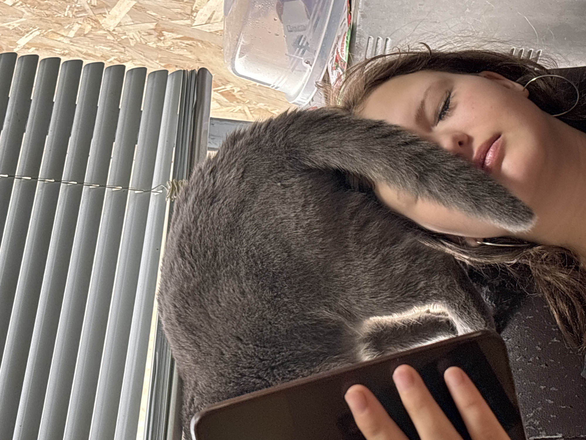 A medium-shot image shows a young woman with an ear hoop earring lying with a large gray cat. The woman's eyes are closed, and the cat's tail is near her face. A hand holds a mobile phone near the cat. A window with gray blinds is in the background. The background also contains a wood surface and a clear plastic container. The location cannot be determined to be in the city of Фоки, Russia.
