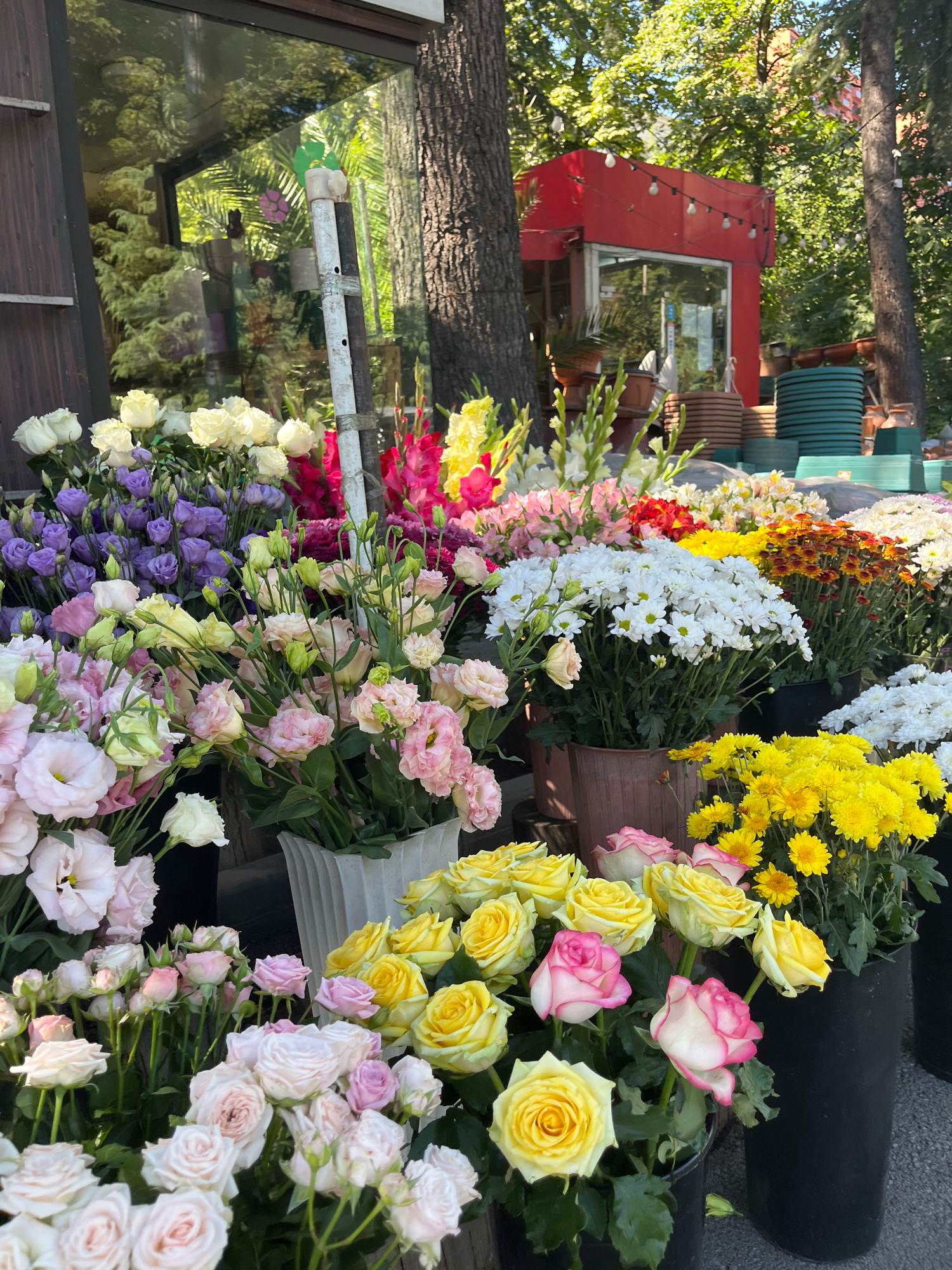 The image shows a flower shop with a vibrant display of various flowers arranged in buckets and vases. The shop appears to be located in Tbilisi, Georgia, evidenced by the presence of Georgian text visible on a sign in the background. The flowers include an assortment of roses in shades of pink, yellow, and white, as well as purple lisianthus, white chrysanthemums, and colorful gladioli. In the background, a small red building with a glass front can be seen, possibly an extension of the flower shop or a neighboring establishment. Trees with lush green foliage frame the scene, suggesting an outdoor or semi-outdoor setting. The ground is paved with asphalt or concrete. No people are visible in the image.