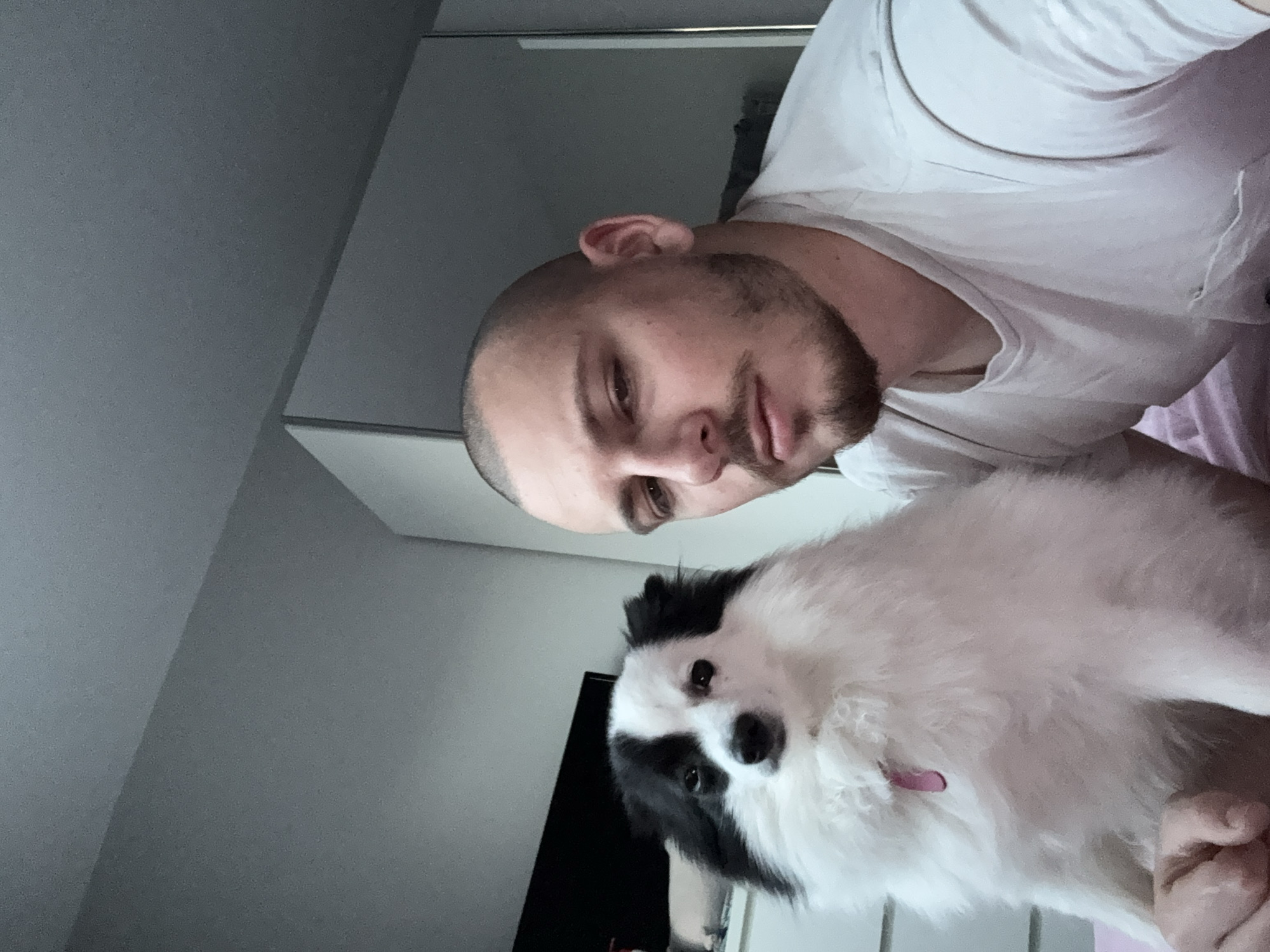 A man is taking a selfie with a black and white dog. The man has a shaved head, a short beard, and is wearing a white t-shirt. The dog has fluffy white fur with black markings around its eyes and ears. The background shows a room with white walls and furniture. The location in Stara Zagora, Bulgaria cannot be determined from the visual information provided.