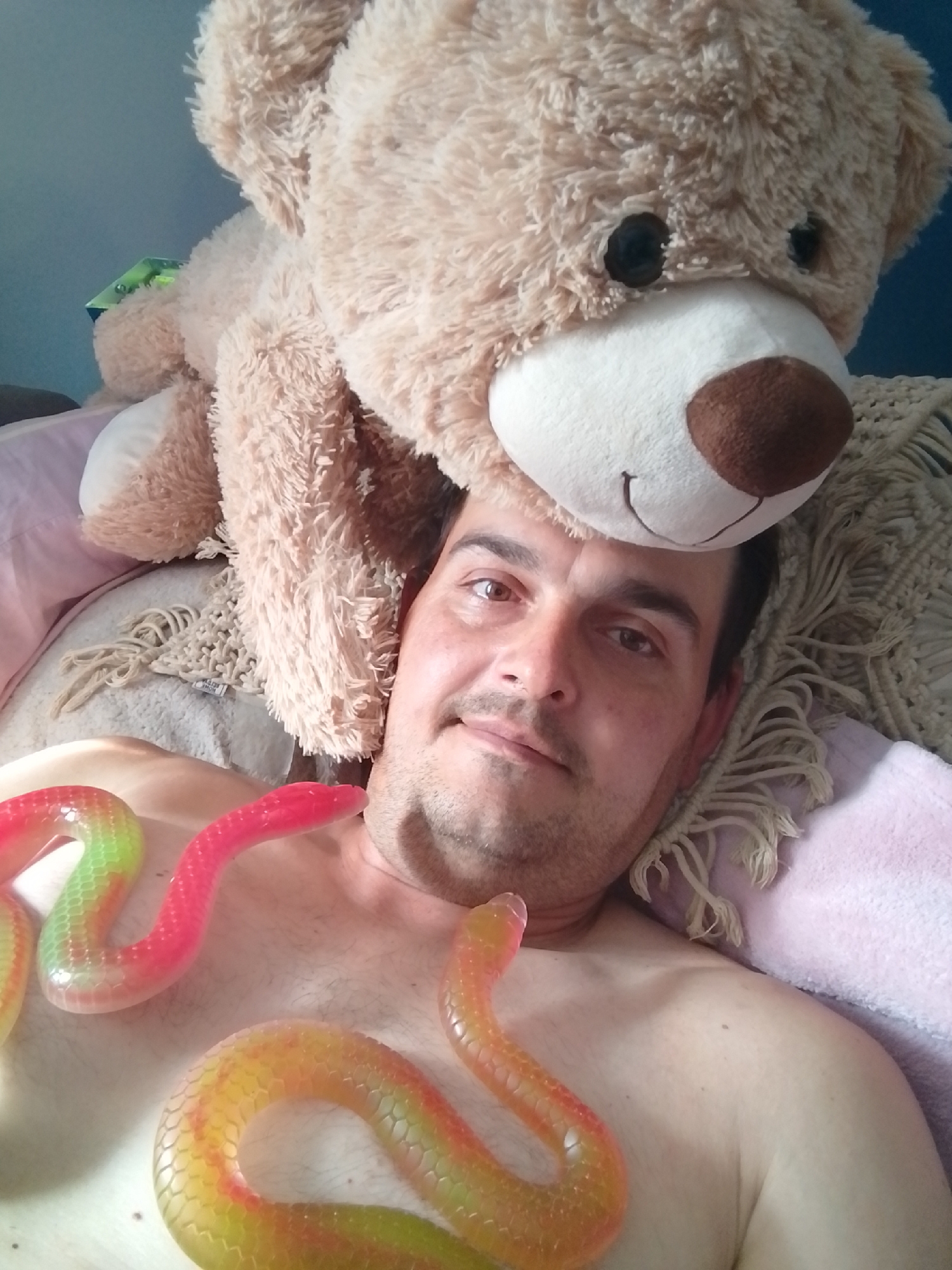 In an indoor setting, likely a bedroom in Wedel, Germany, a man lies on his back, partially obscured by a large, light brown teddy bear positioned over his head and upper chest. The teddy bear has a white snout with a brown nose and black eyes. Below the teddy bear, the man's face is visible, looking towards the camera. His eyes are open, and he has short, dark hair and stubble.
Two translucent, snake-shaped toys are placed on his bare chest. One snake, predominantly red with green highlights, curves across his upper chest. Another, yellow with red highlights, lies lower down on his chest. The man is resting on what appears to be a pink blanket, with a beige knitted textile featuring fringe behind him, partially covered by the teddy bear. The background wall is a muted blue. The overall lighting suggests an indoor environment, possibly with natural light from a window.