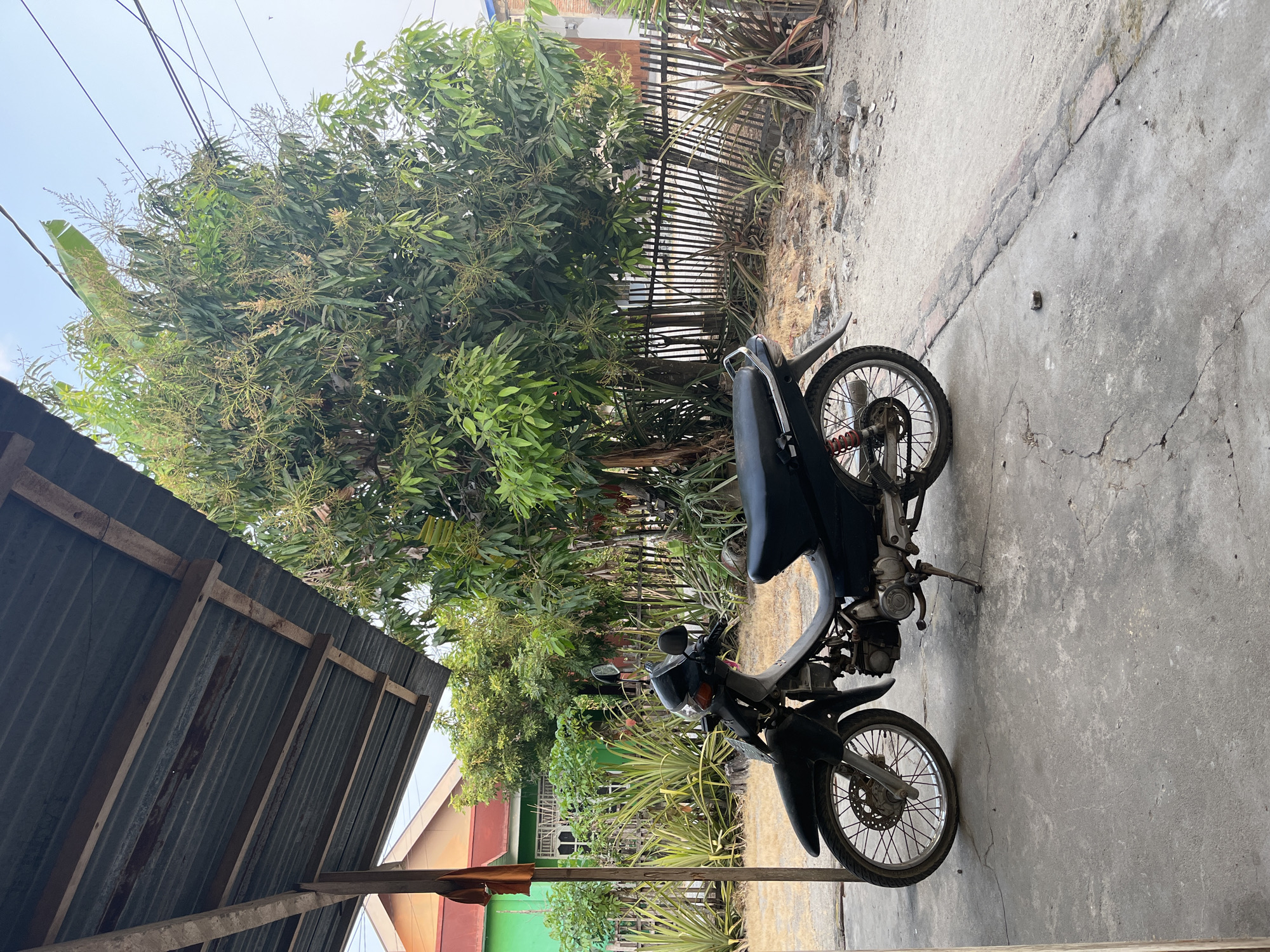 A black motorcycle is parked on a concrete surface under a corrugated metal roofed structure. In the background, a large green tree with many small blossoms is visible, alongside a wooden fence. Behind the fence, a two-story house with green and orange siding is partially visible. The scene appears to be an outdoor area, possibly a yard or driveway, in a residential setting in Bumi Mulyo, Indonesia. The sky is clear and the lighting suggests it is daytime. There are no people present in the image.