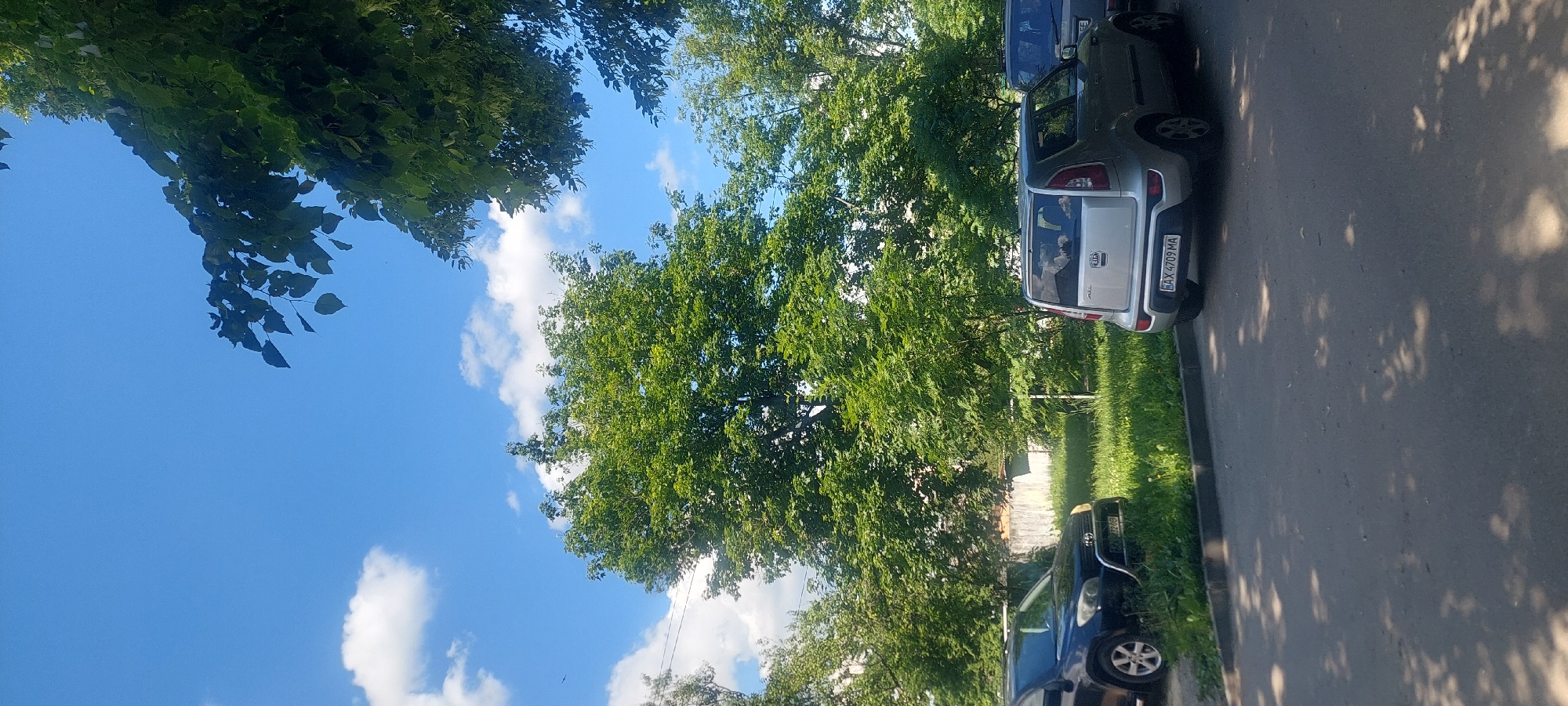 This daytime image captures a street scene in Kharkiv, Ukraine, identified by the "AX" series on the visible Ukrainian license plates. The sky is largely clear and blue with scattered white cumulus clouds. Lush green trees with dense foliage dominate the upper and middle sections of the frame, indicating a verdant environment.
Two passenger vehicles are prominently featured:
1. On the left, a dark-colored SUV, possibly a Toyota RAV4, is parked with its front left quarter visible. It features a chrome bull bar on its front bumper. The Ukrainian license plate "AX 832 0B" is legible.
2. On the right, a silver Kia Soul SUV is parked with its rear facing the viewer. The Ukrainian license plate "AX 4709 MA" is clearly visible on its rear bumper.
The vehicles are parked alongside a dark asphalt road or parking area, which shows dappled shadows from overhead trees, suggesting strong sunlight. A dark grey curb separates the asphalt from a strip of unkempt green grass and weeds where the vehicles are parked. In the background, behind the trees and grass, obscured by foliage, are faint outlines of what appear to be light-colored building walls or fences. No individuals are visible in the scene, which appears static. Power lines are faintly discernible stretching across the sky in the mid-left area.
