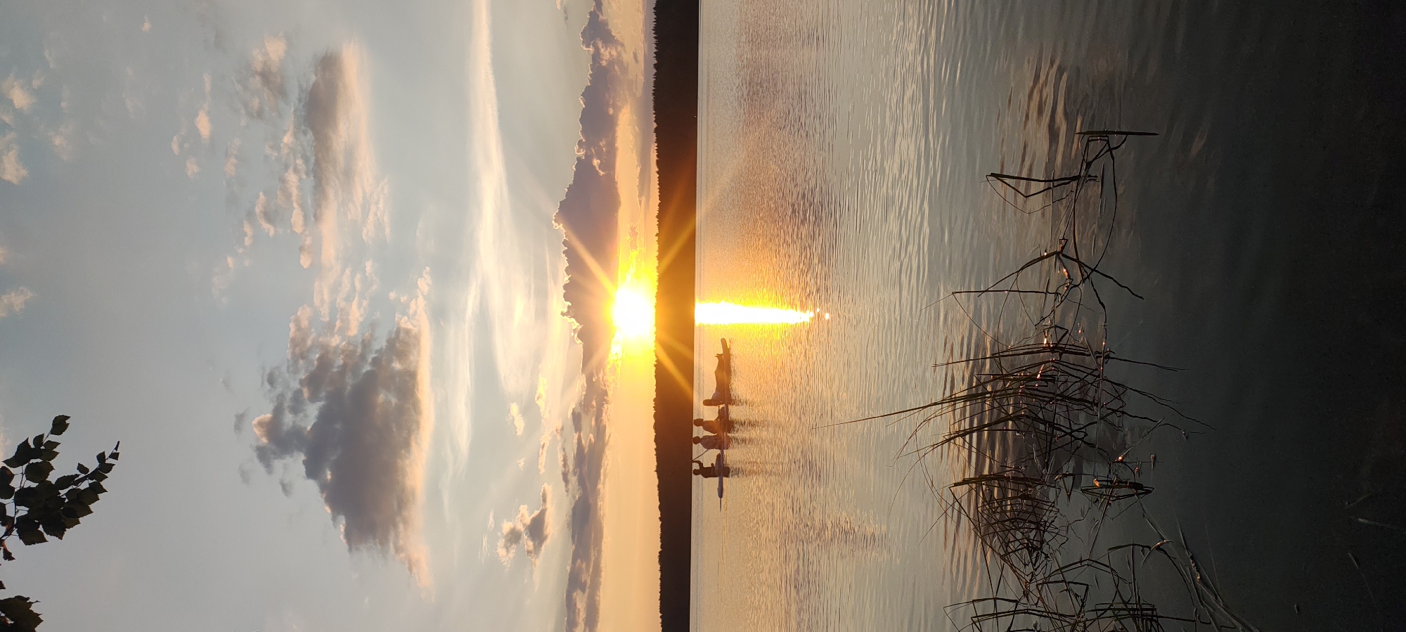 A vertical, eye-level shot captures a serene sunset over Mednoye Ozero, Russia. The sun, a bright orb with visible rays, is low on the horizon, casting a warm, golden glow across the sky and water. Scattered clouds, tinged with pink and orange, drift across the pale blue expanse. In the foreground, silhouetted reeds emerge from the dark water, their reflections stretching across the rippling surface. On the lake, four figures are visible on a paddleboard, with one person paddling and the others lounging. The far shore is lined with a dense forest, also silhouetted against the vibrant sky. The overall scene evokes a sense of tranquility and natural beauty.