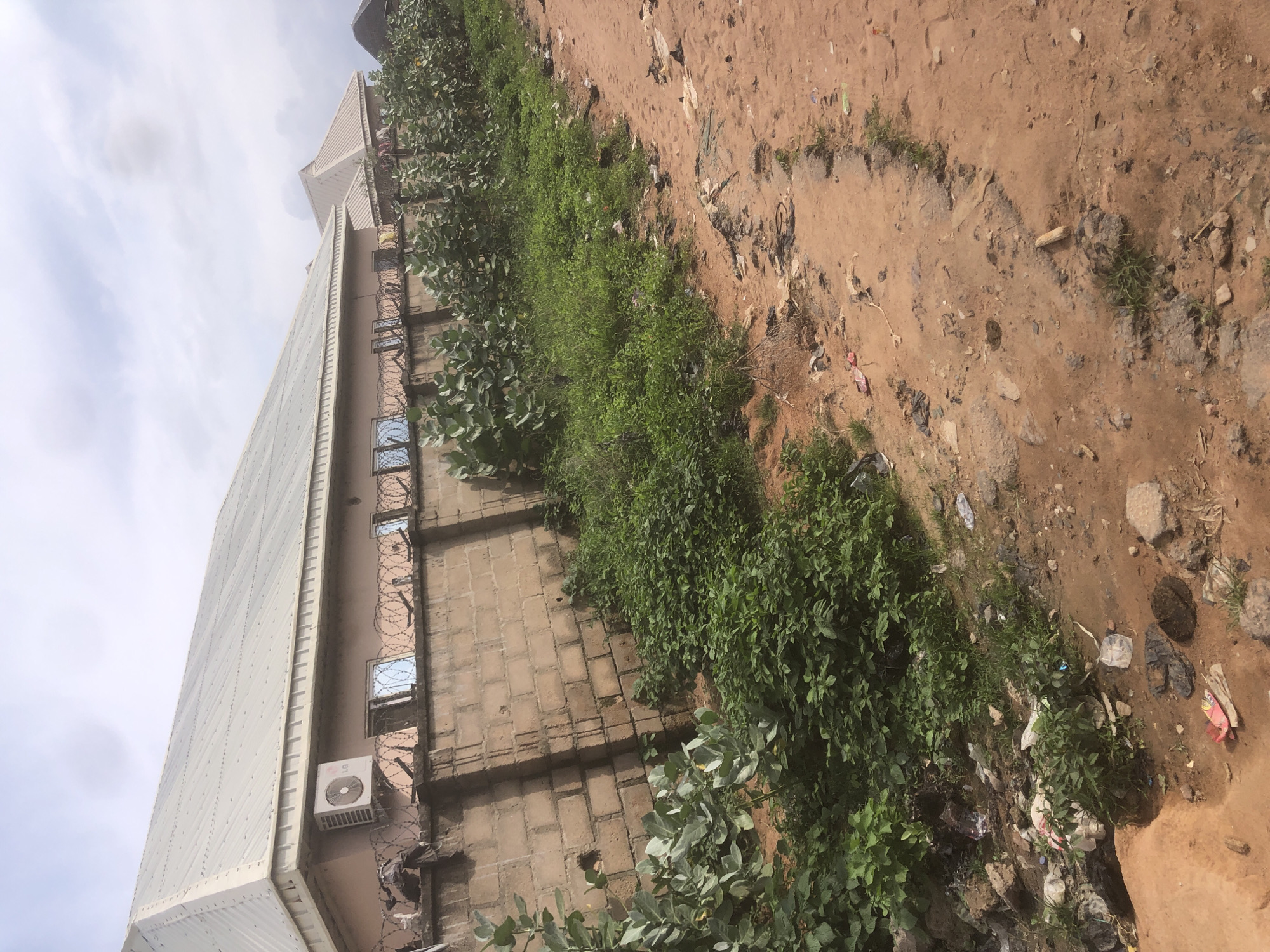 The image depicts a side view of a building with a metal-clad extension, situated next to a patch of overgrown greenery and a dirt path littered with debris. The building appears to have brickwork walls with barred windows and an air conditioning unit mounted on its facade. Barbed wire runs along the top of the wall. The greenery consists of dense, leafy bushes. The dirt path is uneven and strewn with various items, including plastic bags, wrappers, and what appear to be discarded footwear. The sky is overcast with some clouds visible. The scene suggests an outdoor setting in what appears to be an urban or semi-urban environment, potentially in Jalingo, Nigeria. The overall impression is one of neglect and unkempt surroundings, with the natural growth contrasting with the man-made structures and the accumulation of waste. There is no visible text in the image. The lighting suggests it is daytime, but the overcast sky makes it difficult to determine the exact time.