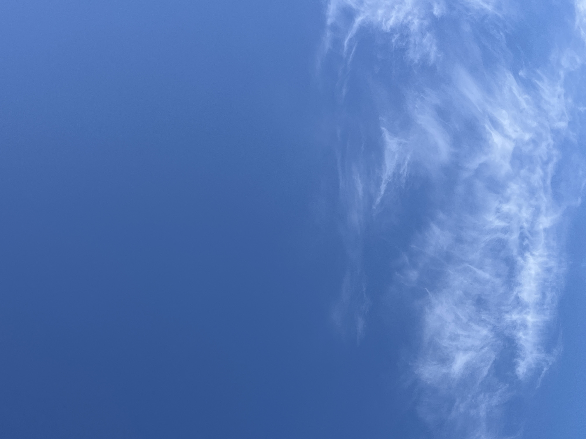 The image is a photograph of a bright blue sky with wispy white cirrus clouds scattered across the lower portion. The clouds are thin and feathery, suggesting high altitude and fair weather. The sky occupies most of the frame, with the clouds concentrated towards the horizon. The scene appears to be an outdoor environment, likely taken during daylight hours. No specific landmarks or geographical features are visible that would pinpoint the location to Ikryanoye, Russia. The image focuses solely on the sky and clouds.