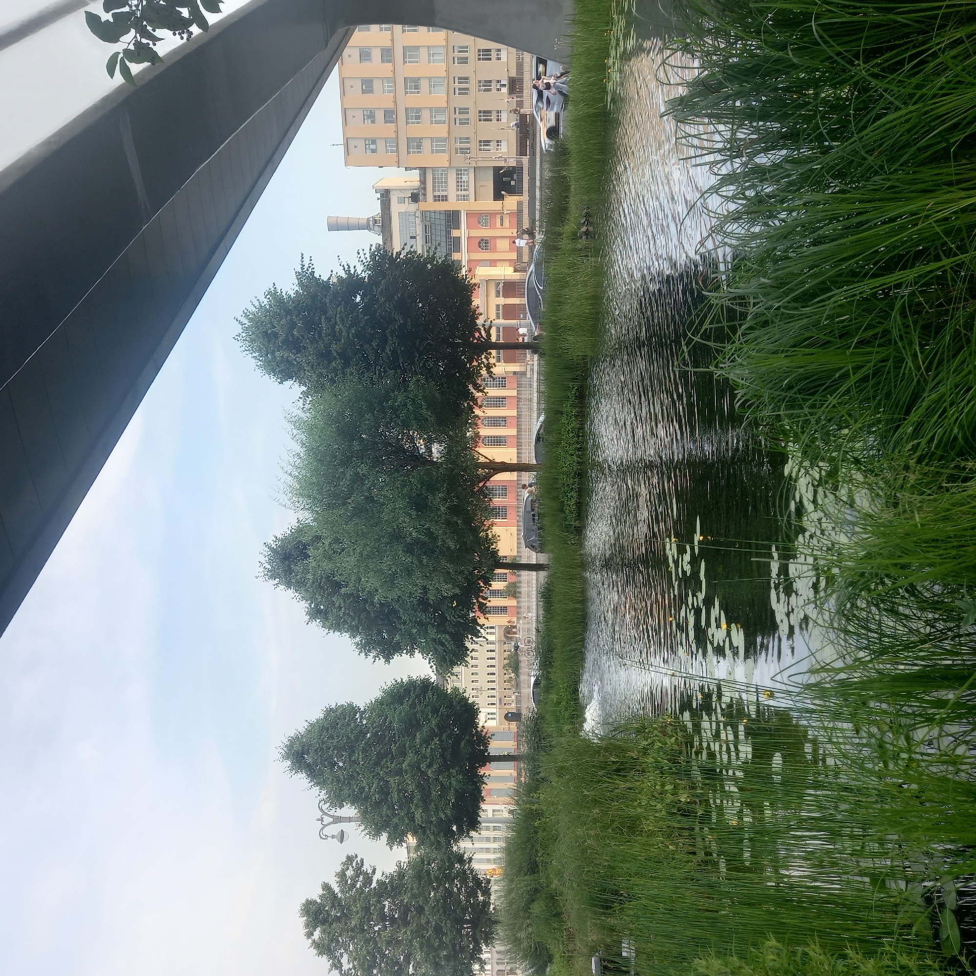 In the foreground, tall green reeds and grasses grow along the edge of a dark, rippling pond dotted with lily pads and small yellow flowers. A gentle fountain spray can be seen in the water. Beyond the pond, a line of mature green trees stands between the water and a row of multi-story buildings. The buildings are varied in style and color, with some appearing to be older industrial structures and others modern residential or commercial buildings. A tall, cylindrical smokestack is visible behind some of the buildings. A large, modern overpass or bridge structure runs diagonally across the upper portion of the image, casting a shadow over part of the scene. Several cars are parked along the street in front of the buildings, and a few people are walking. The sky is overcast with a pale blue hue.
