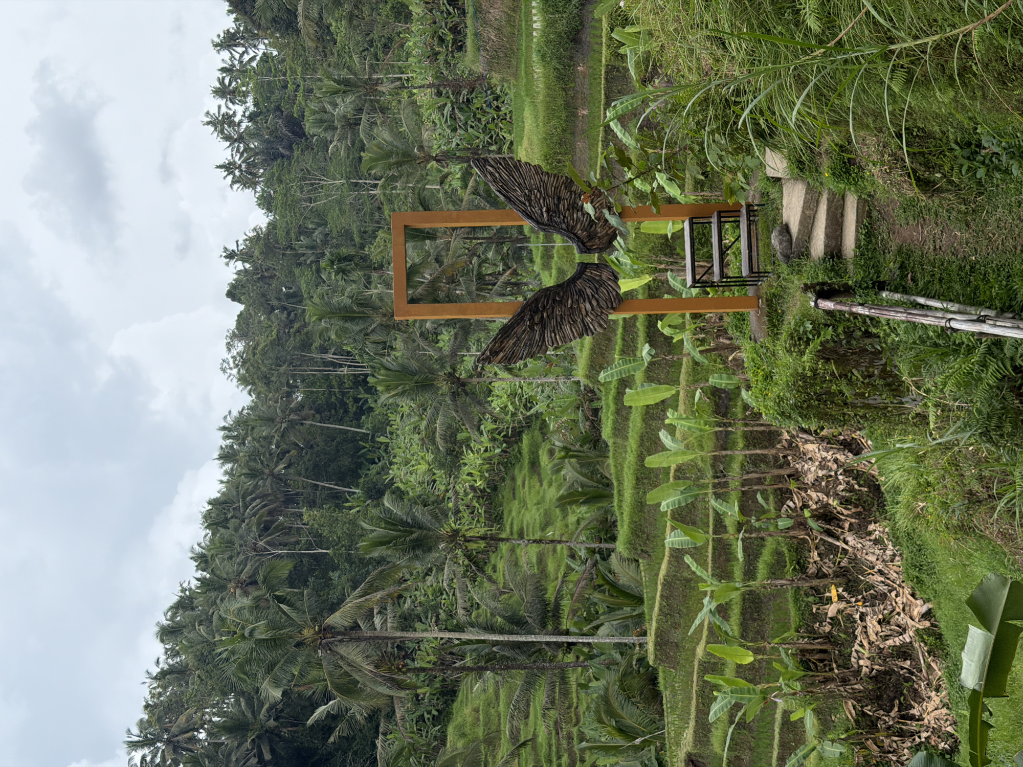 The image captures a scenic view of a rice paddy field in what appears to be Ubud, Indonesia, although the city is unspecified. The landscape features terraced rice paddies filled with lush green vegetation, along with palm trees and other tropical foliage.
In the foreground, there is a wooden frame with sculpted wings attached to it, creating a photo opportunity with the rice paddies as a backdrop. The wings are dark and textured. Next to the frame is a small wooden structure that appears to be a chair. There are concrete steps leading up to a path. The sky is overcast with cloudy conditions.