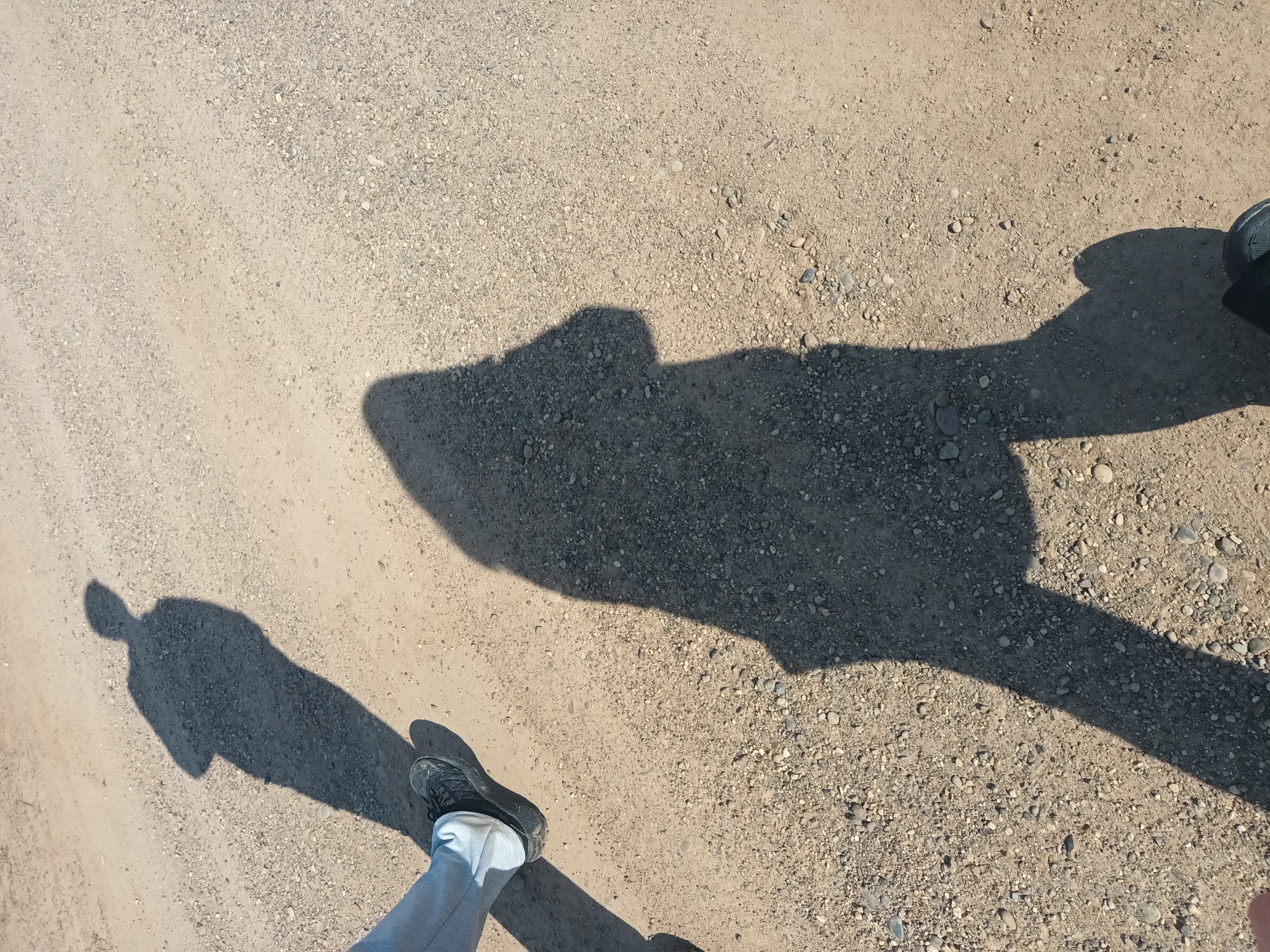 The image shows a gravel ground surface in Ольховка, Russia. The shadow of a person and an object is visible on the ground. A leg and a shoe of the person are also visible in the lower left of the frame.