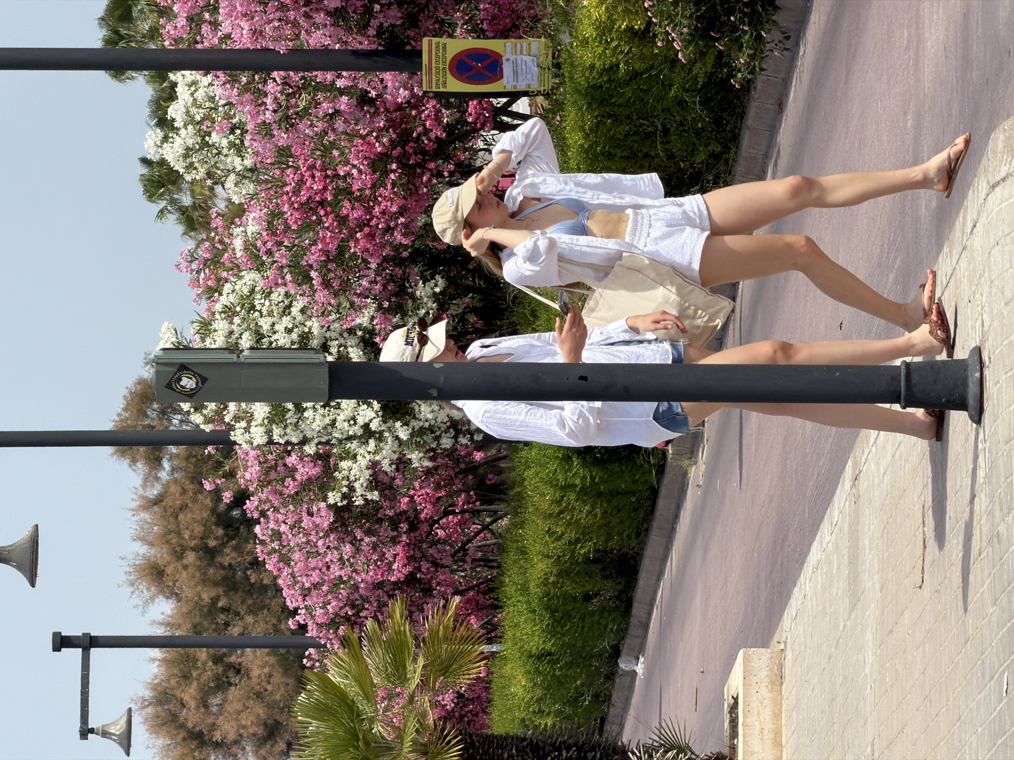 Two young women are walking along a street lined with blooming pink and white oleander bushes. The woman on the right is wearing a light blue bikini top, a white linen shirt, white terrycloth shorts, a tan baseball cap, and tan flip-flops. She is holding her hands up to her head, adjusting her cap or shielding her eyes from the sun. She carries a large beige tote bag. The woman on the left is wearing a white long-sleeved shirt and denim shorts, also with a tan baseball cap and tan flip-flops. She is looking down at her phone. They are walking on a paved sidewalk next to a street with a pinkish asphalt surface. In the background, palm trees and other foliage are visible. Two streetlights are present, one on either side of the frame, and a traffic signal pole stands between the two women. A yellow sign with red and blue symbols is affixed to the traffic signal pole on the right. The scene appears to be a sunny day in a warm climate.