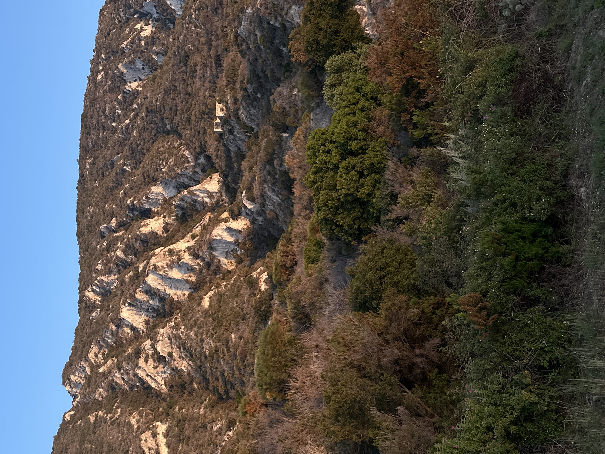 The image displays a rugged mountain or cliff face, heavily covered in diverse vegetation and featuring exposed, light-colored rock formations. The photograph is oriented vertically, with a clear blue sky occupying the left side of the frame, and the mountainous terrain rising from the right.
The mountain is densely vegetated with a mix of lush green trees and shrubs, interspersed with drier, brownish foliage, indicating a Mediterranean climate. Distinct white or light grey rock outcrops are visible, showcasing the natural contours and ruggedness of the terrain.
Approximately midway along the mountain face from top to bottom, and about one-third of the way in from the right edge, two small, light-colored structures are perched precariously on the cliff. These structures appear to be old buildings or ruins, blending into the rock and suggesting a historical or very remote human presence.
The lighting suggests either early morning or late afternoon, with a warm, golden light illuminating parts of the rock and vegetation, casting soft shadows that highlight the textures and depth of the landscape. The sky is uniformly blue and cloudless, indicating fair weather. No people or visible text are present in the image. The scene aligns with the natural, wild landscape found on islands like Lipari, Italy, known for their volcanic and mountainous characteristics.