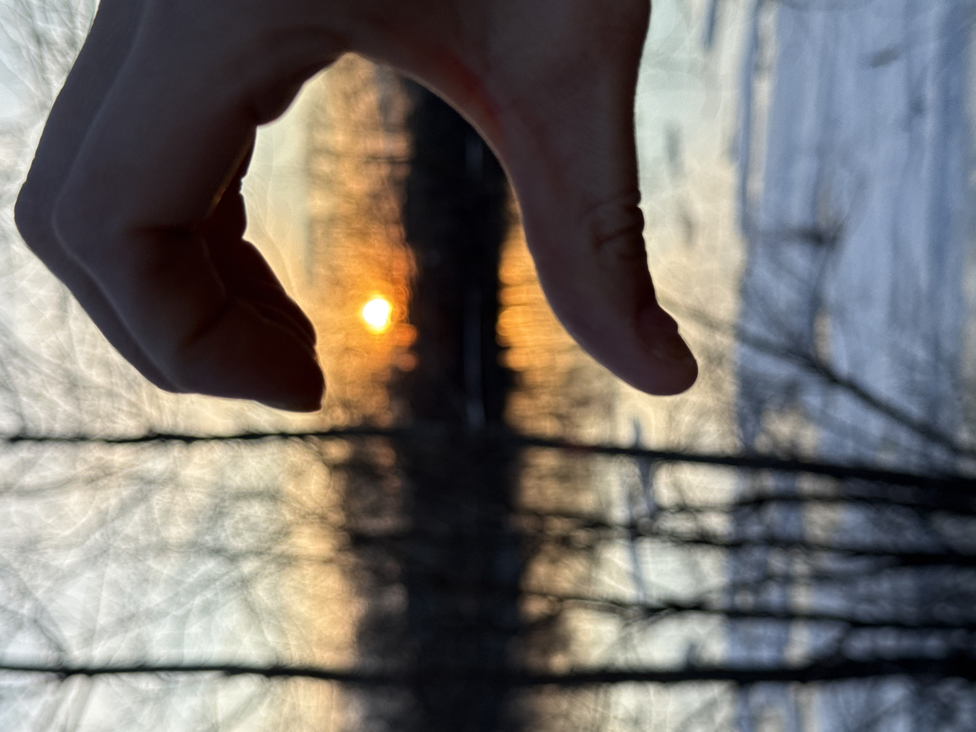 A hand is positioned in the foreground, appearing to "hold" a sun-like point of light in the background. The background is blurred and appears to show bare tree branches and light reflecting off a surface, possibly water or snow. Based on the location information provided, it's likely the background scene is in Chaikovsky, Russia, possibly near a body of water where sunlight is reflecting through trees.