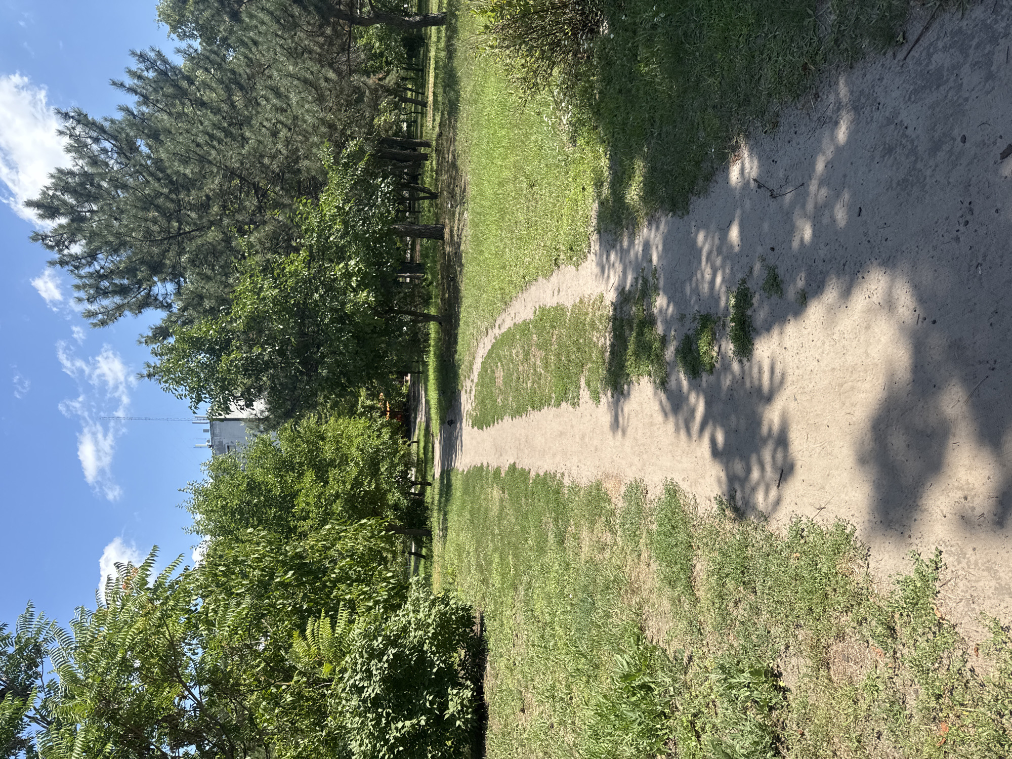 The image depicts a sandy path winding through a park or green space under a clear blue sky with scattered white clouds. Lush green trees and bushes line the path, with taller pine trees visible in the background. A building with an antenna is visible in the distance through the trees. Shadows of leaves are cast across the path, indicating a sunny day. There are no people or animals clearly visible. The environment appears to be a well-maintained urban park.