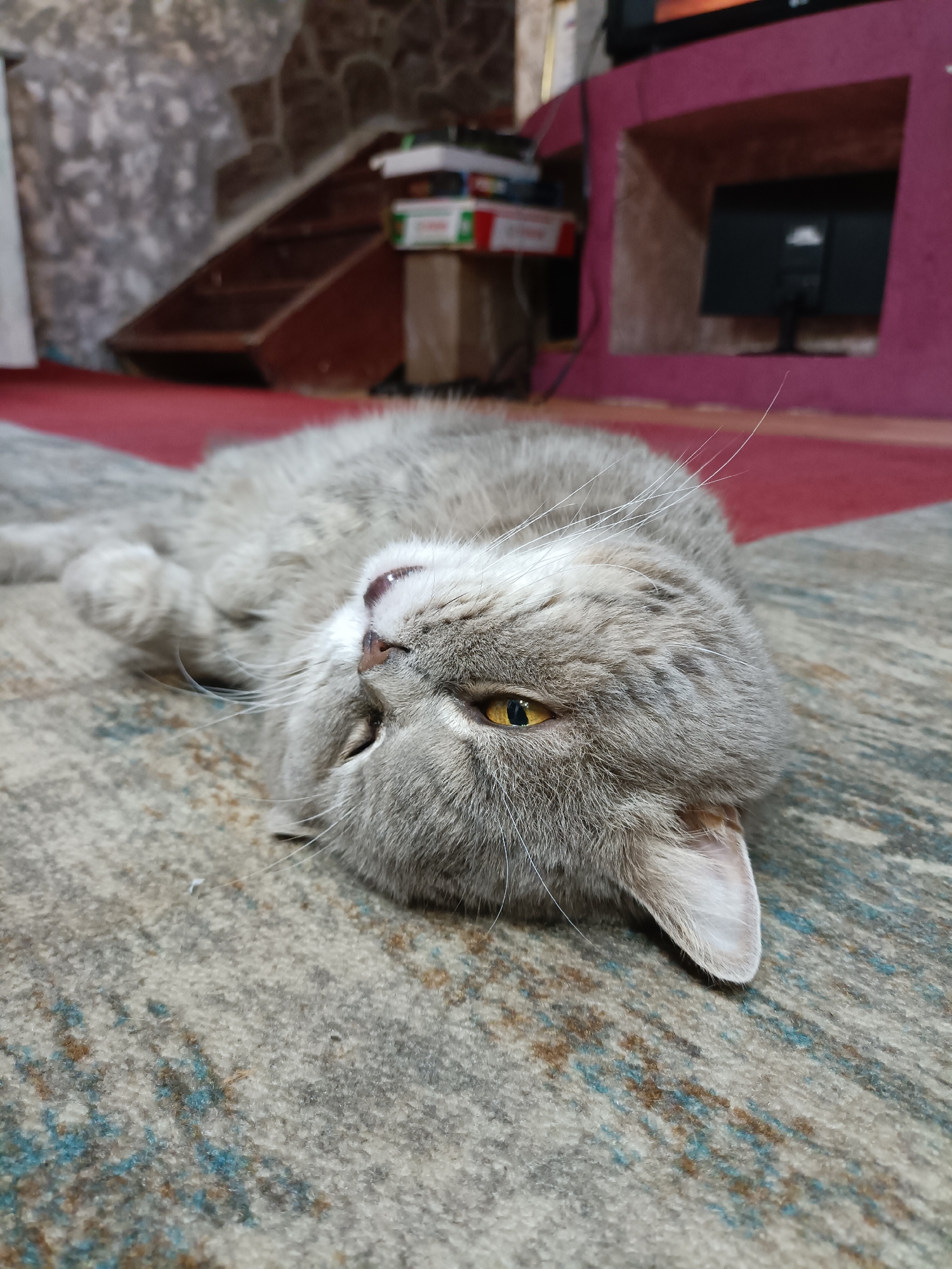 A close-up, low-angle shot shows a grey tabby cat lying on its back on a patterned carpet. The cat's eyes are partially closed, and its mouth is slightly open, revealing its tongue. The background is blurred but suggests an indoor environment with a wooden staircase, stone wall, and a piece of furniture with a screen. The scene does not provide any information about the location within Bataysk, Russia.