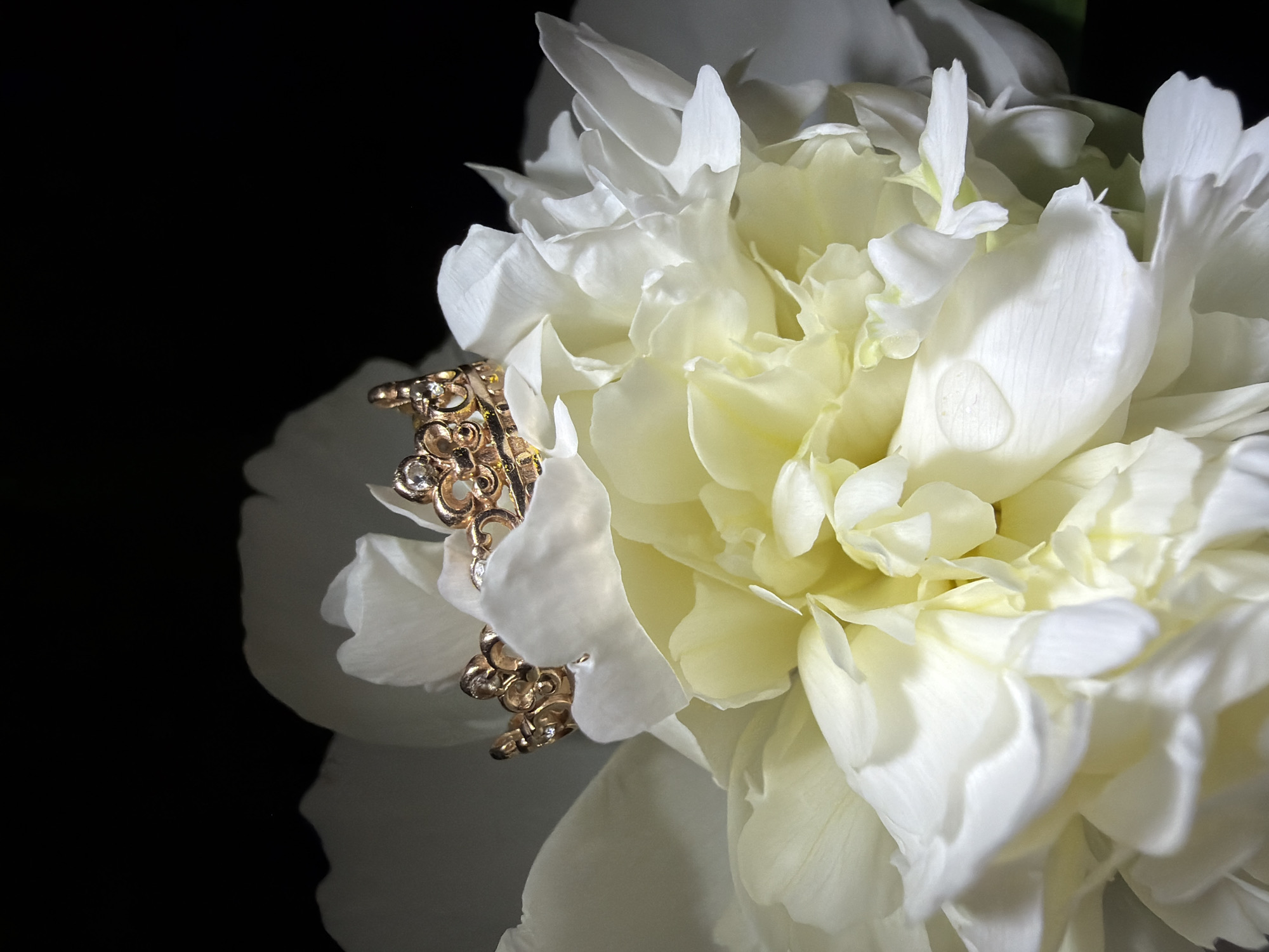 A large, multi-petaled white flower, resembling a peony, occupies the majority of the lower two-thirds of the vertical frame. Its petals are creamy white with subtle variations in tone and texture, some exhibiting a slight yellow tint deeper within the bloom. A single, clear water droplet rests on a petal in the lower-right portion of the flower. Perched atop the upper-center petals of the flower is a small, ornate, gold-toned crown. The crown features delicate scrollwork and several small, clear, possibly faceted stones embedded within its structure, reflecting light. The background is uniformly black, providing a stark contrast that isolates and highlights the subjects. The lighting is directed, illuminating the flower and crown brightly while leaving the background in deep shadow. No people are present. No specific actions or interactions are depicted beyond the static arrangement. The scene is located in Unknown, Unknown.