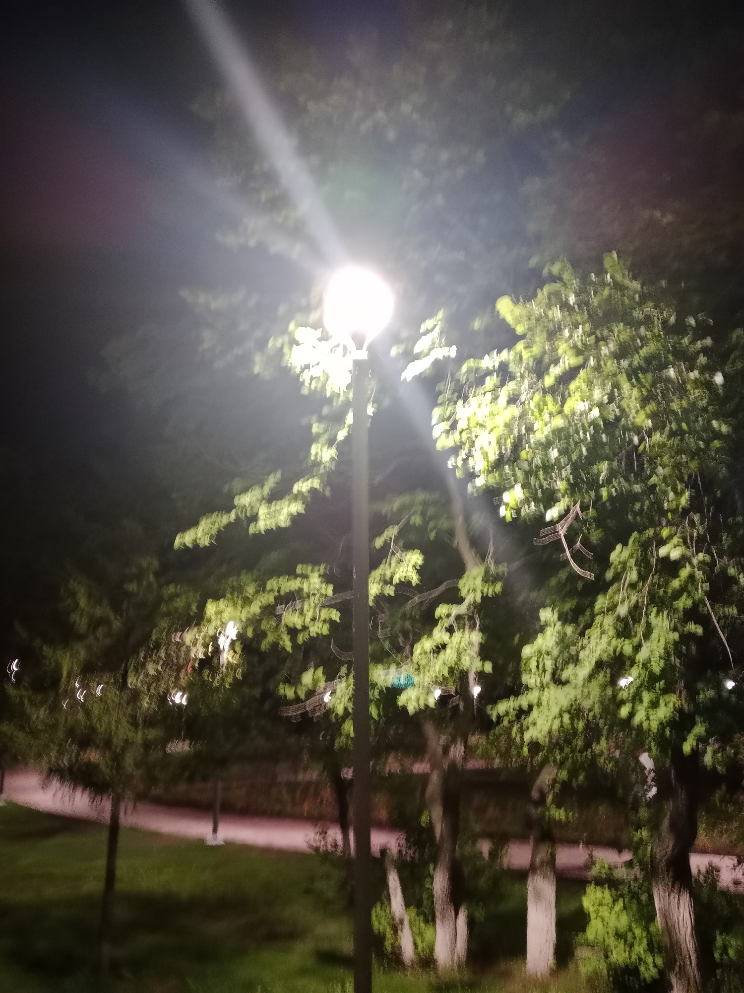 The image depicts a night scene in a park setting, likely in the city of Semey, Kazakhstan. A tall, lit streetlamp dominates the center of the frame, casting a bright glow upwards and outwards. Lush green foliage from trees surrounds the lamp, with some leaves illuminated by its light. The trees themselves appear to be in various stages of fullness, with some branches bare and others densely covered. The ground below consists of grass and a pathway, which is visible as a reddish-brown strip. The overall atmosphere is dark and somewhat mysterious due to the nighttime setting and the blurred nature of the foliage, suggesting movement or a long exposure photograph. No people are visible in the image.