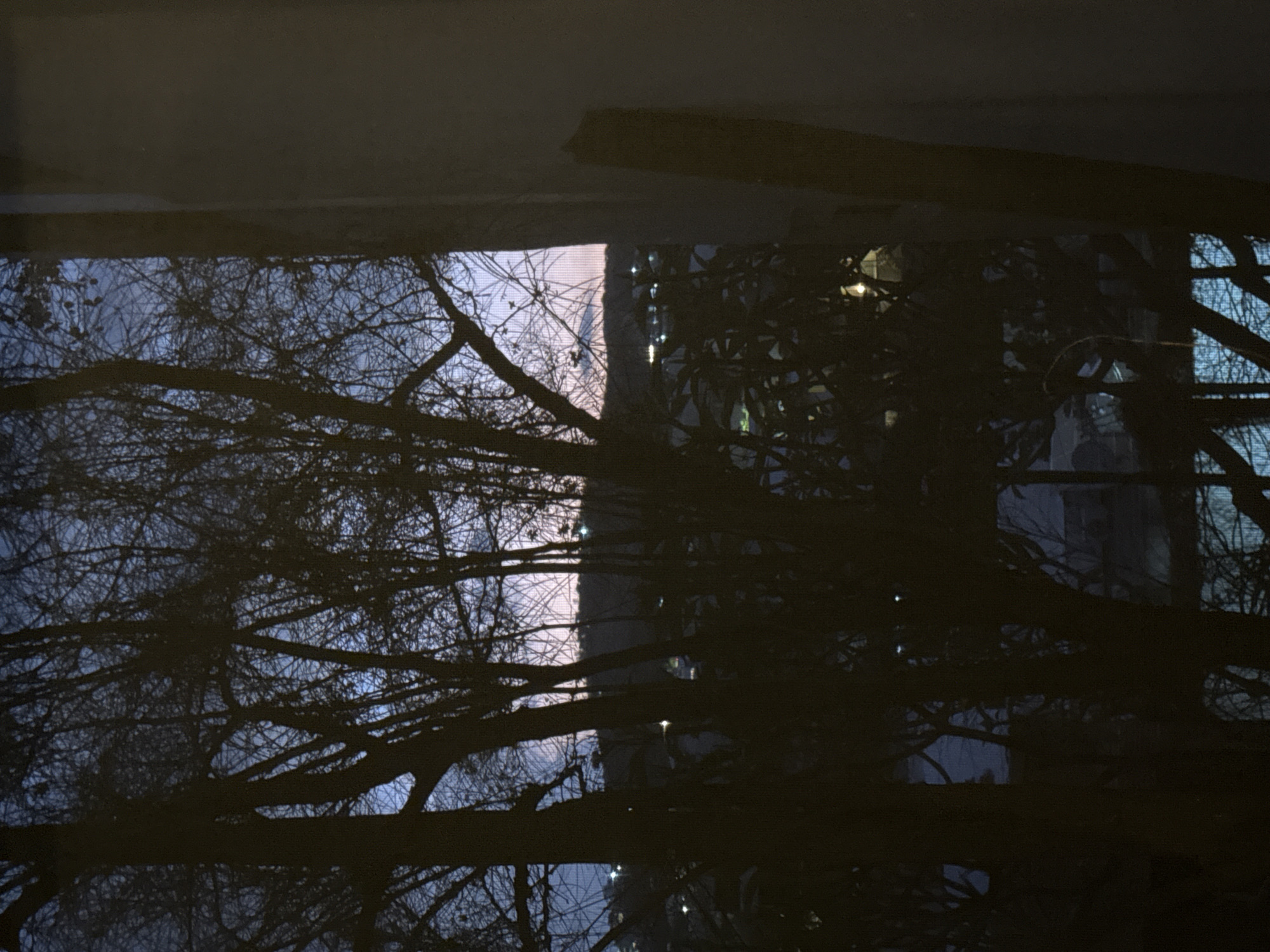 The image appears to be a reflection in a body of water, possibly a puddle or pool. Silhouetted tree branches are prominently displayed, their intricate patterns contrasting with what seems to be a building in the background. The building has several lit-up windows. The upper portion of the image is dominated by a dark, possibly concrete or shadowed area, suggesting an overhang or structure above the water. The location is believed to be Oaxaca City, Mexico.