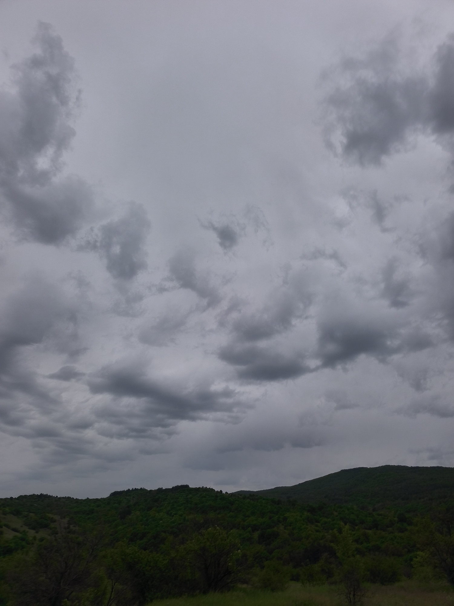 The image depicts an overcast sky above a landscape in Dolno Varshilo, Bulgaria. Dark, heavy clouds fill the majority of the frame, suggesting an impending storm. Below the sky, a line of rolling hills covered in green vegetation is visible. The foreground includes grass and some low-lying bushes or trees. The scene appears natural and undeveloped.