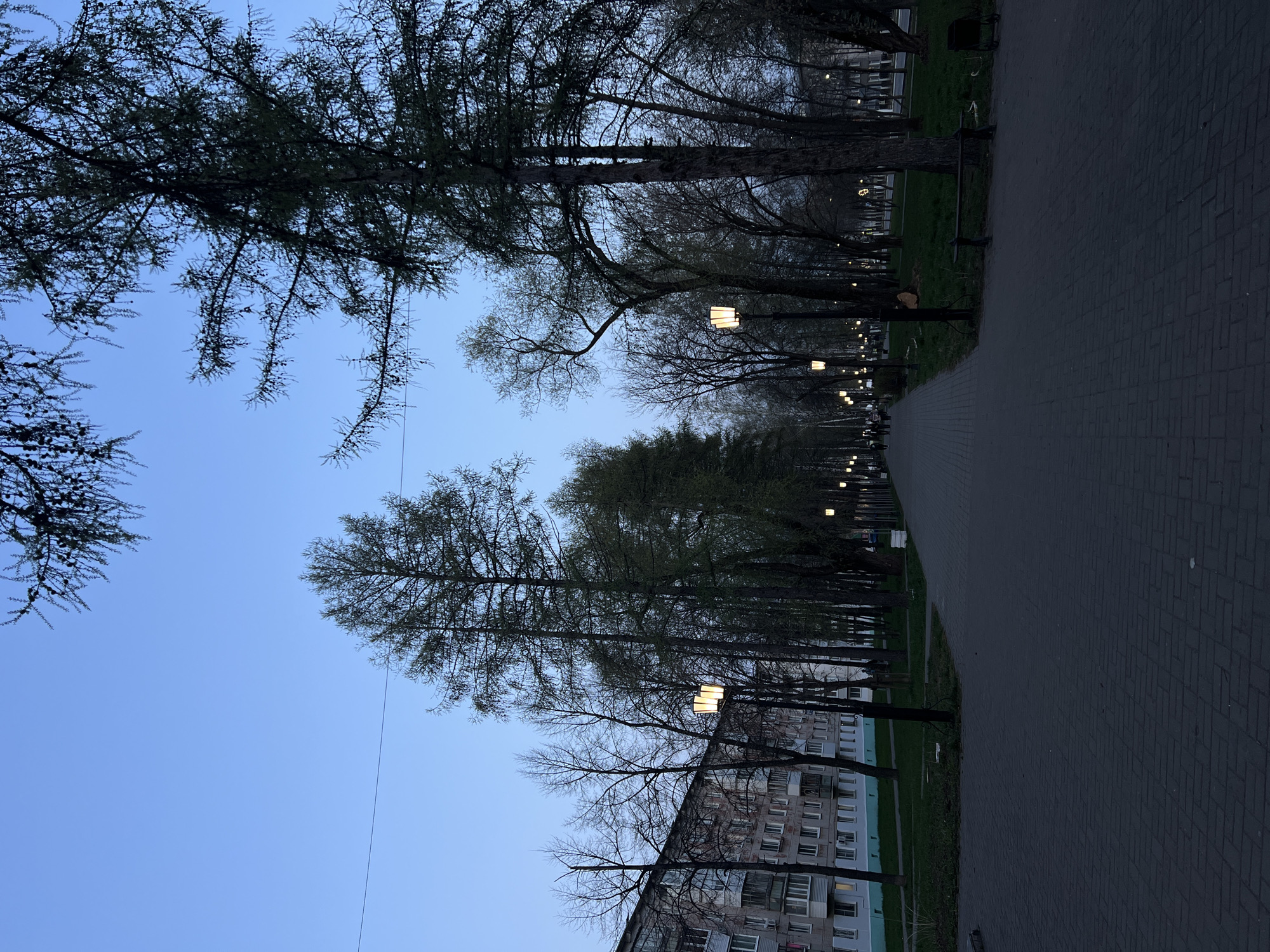 The image depicts a park pathway in the city of Chaikovsky, Russia, at dusk or dawn. The pathway is constructed of dark gray paving stones and stretches into the distance, flanked by trees on both sides. The trees are mostly bare-branched, with a few showing early signs of foliage. Lampposts illuminate the path. A residential building can be seen on one side, with multiple windows visible. The sky is a clear pale blue, and there are power lines visible above. The overall atmosphere is quiet and subdued.