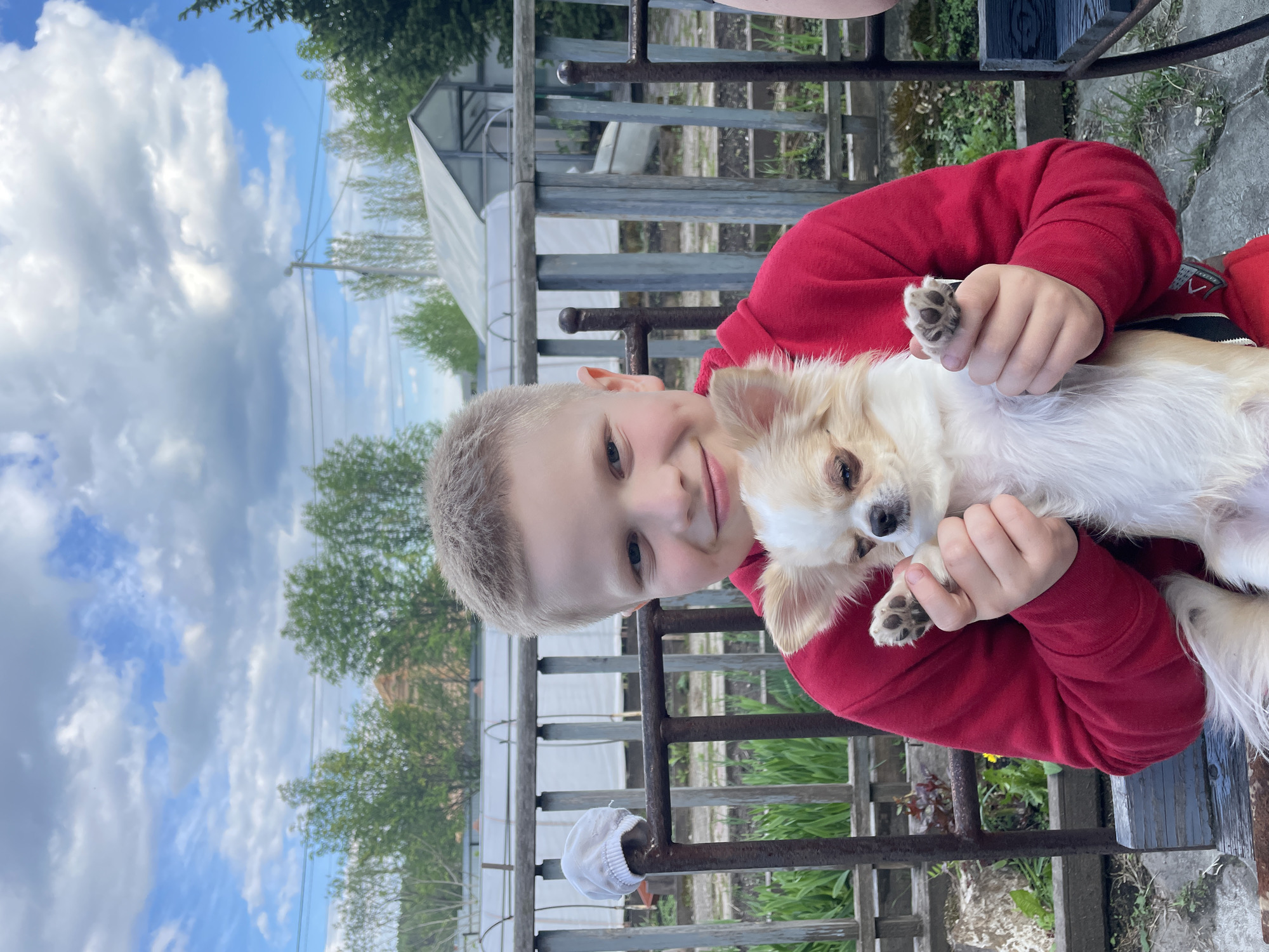 A young, fair-skinned, blond-haired boy wearing a red sweatshirt is holding a small, light-colored, long-haired dog. The boy is smiling, and the dog appears to be relaxed in his arms. The setting is outdoors, possibly a backyard or porch. Behind the boy and dog is a weathered, grey metal railing. In the background, there is a greenhouse or shed-like structure with a translucent roof and sides. The sky above is partly cloudy, with patches of blue visible. Vegetation and possibly other buildings are present in the distance. The location is likely in a suburban or rural area within or near the city of Манский, Russia.