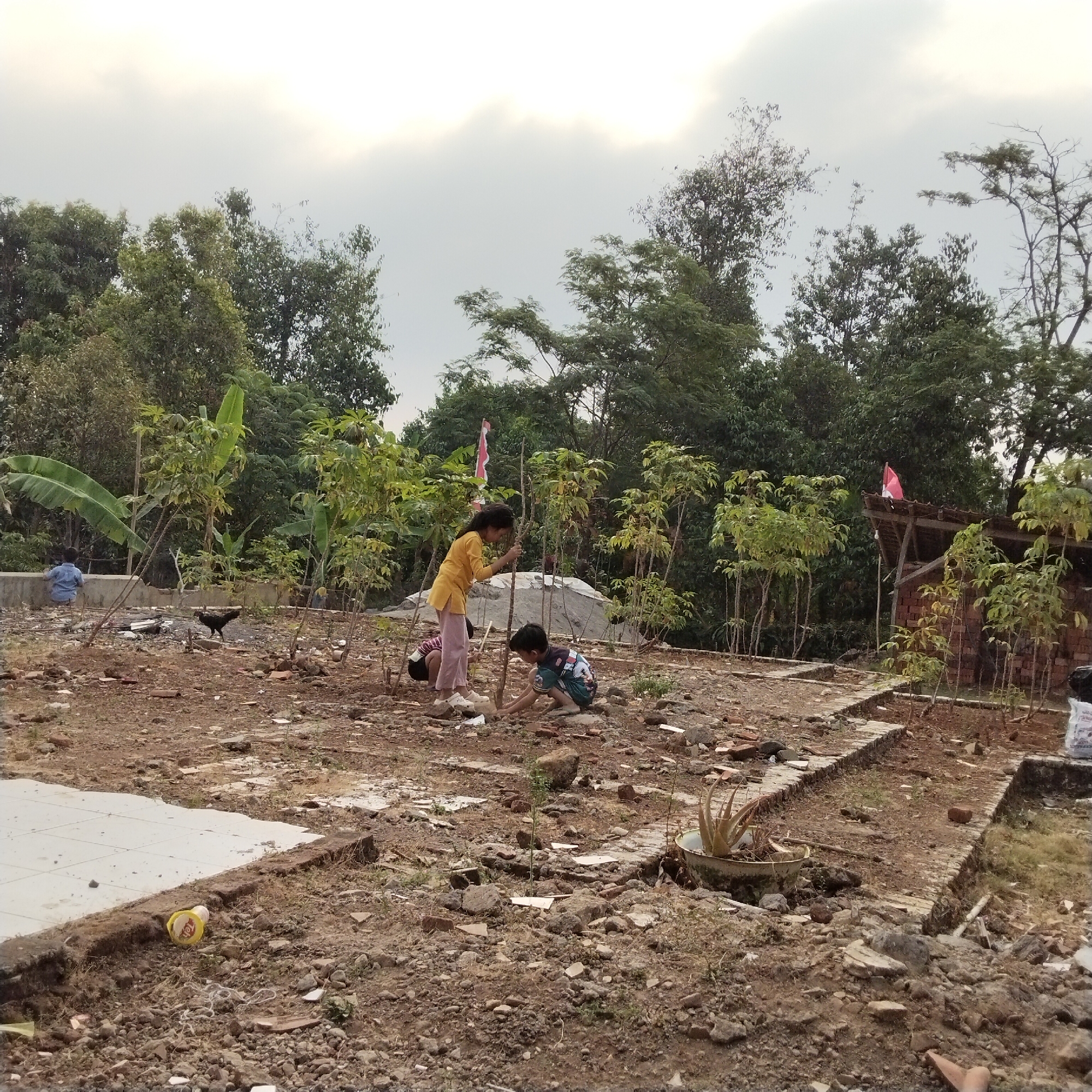 Memory