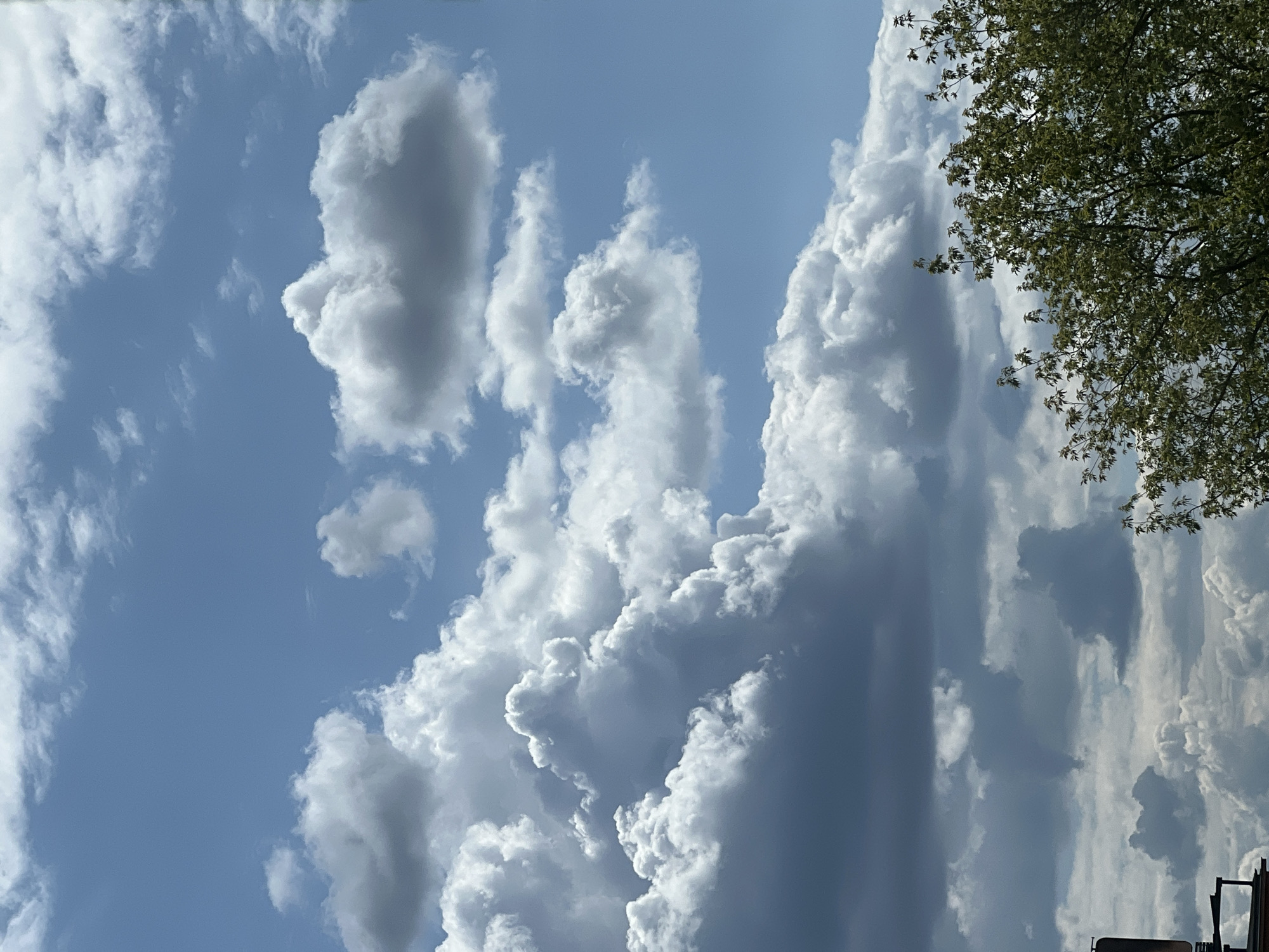 The image shows a sky filled with cumulonimbus and cumulus clouds against a bright blue sky. The clouds vary in density and texture, with some appearing bright white and fluffy, while others are darker and more shadowed, suggesting varied altitudes and thickness. In the lower right portion of the image, the tops of leafy green trees are visible, their branches reaching upwards towards the sky. The lower left portion of the image shows the edge of a dark structure, possibly a building or a piece of equipment, with some metallic elements and a railing. The scene appears to be an outdoor environment, likely during the daytime, given the bright sunlight illuminating the clouds and foliage. There are no people or animals visible in the image. The image is a photograph taken from a low angle, looking upwards towards the sky. The specific location in the city of Warsaw, Poland cannot be determined from the visual information provided in the image.