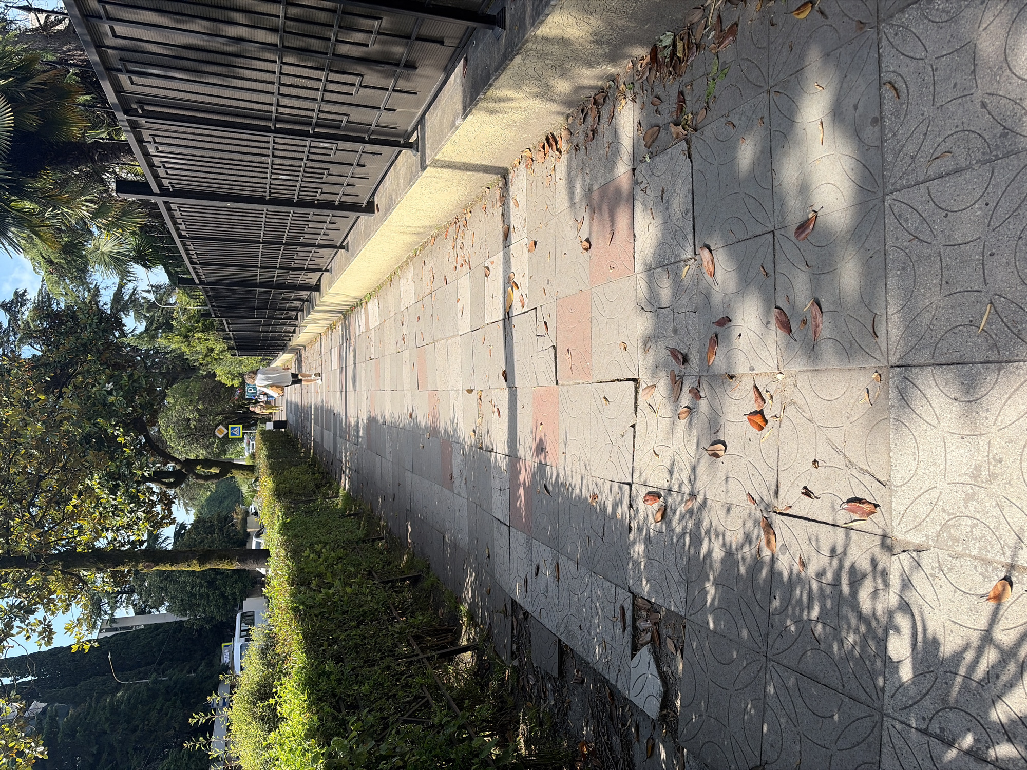 The image shows a sun-dappled pedestrian walkway in Sochi, Russia. A person wearing a white shirt and shorts walks away from the camera down the path. The walkway is paved with square tiles, some of which are cracked or missing, and is lined with a trimmed green hedge on the left and a tall black metal fence on the right. Fallen leaves are scattered across the walkway. In the background, trees and palm trees are visible, along with parts of buildings and a white van. The overall scene suggests an outdoor public space in a city with a warm climate.