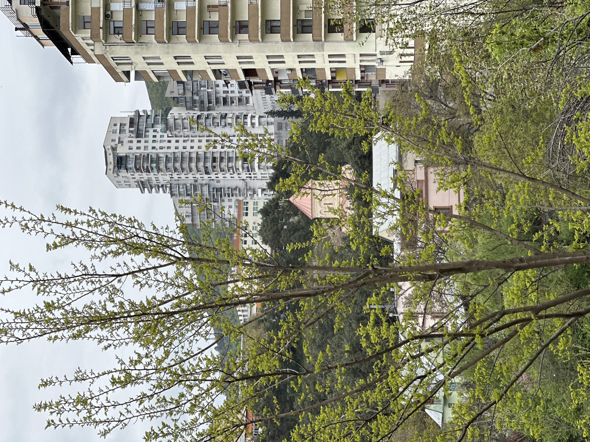 The image presents a vibrant urban landscape in Tbilisi, Georgia, captured during springtime. The foreground is dominated by a network of tree branches adorned with an abundance of fresh, light green leaves, signaling the season.
Behind this verdant canopy, a dense arrangement of residential buildings fills the midground and background. Prominent are several multi-story modern apartment blocks, characterized by numerous windows and balconies, some of which feature visible air conditioning units. These buildings appear to be constructed on varying elevations, suggesting a hilly urban terrain. Interspersed among the larger structures are smaller, more traditional-looking houses, including a distinctive pinkish-beige building with a reddish roof, and another lighter-colored house.
A significant portion of the scene is filled with lush greenery, forming dense clusters of trees and a wooded hillside that is integrated with the urban development. The sky above is overcast and uniformly gray, indicating a cloudy day. No people or specific activities are visible, presenting a static, observational view of the city. The overall scene captures the coexistence of modern architecture and natural elements in an urban setting. No discernible text is visible in the image.