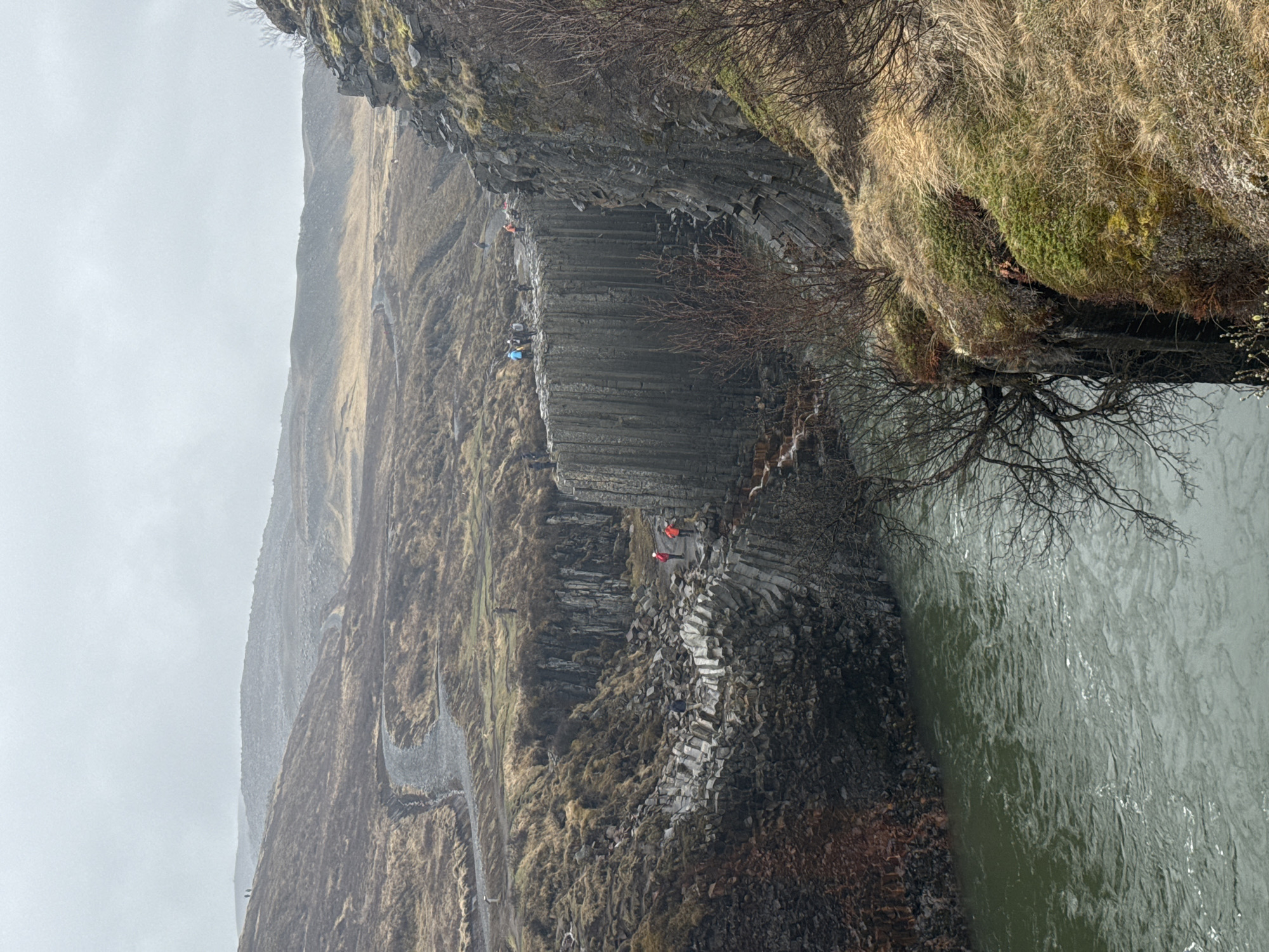 The image, when viewed upright, captures a vast, rugged natural landscape, likely a canyon or gorge. A wide river with greenish-grey, turbulent water dominates the right side, flowing past steep, dark cliffs characterized by prominent columnar basalt formations. These geological structures, appearing as layered hexagonal or polygonal columns, form ledges and steps along the riverbank.
The left side of the frame presents a rising hillside or mountain, covered in sparse, dry, light brown and muted green vegetation, indicative of a cold or temperate climate. A winding path, lighter in color, is visible along the base of the basalt columns and extending upwards on the left hillside.
Several small figures, identifiable as people, are scattered across the scene, engaged in hiking or exploring the area. One individual in a red jacket stands on a lower basalt ledge near the river, while another in blue is further along the columnar path. Other figures are less distinct, higher up on the path.
The sky is a uniform, light grey, indicating an overcast day. The lighting is diffuse, without harsh shadows. Bare, gnarled tree branches cling to the mossy and grassy cliff edges above the river, especially towards the mid-right. The scene evokes a sense of natural grandeur and adventure. No text is visible.