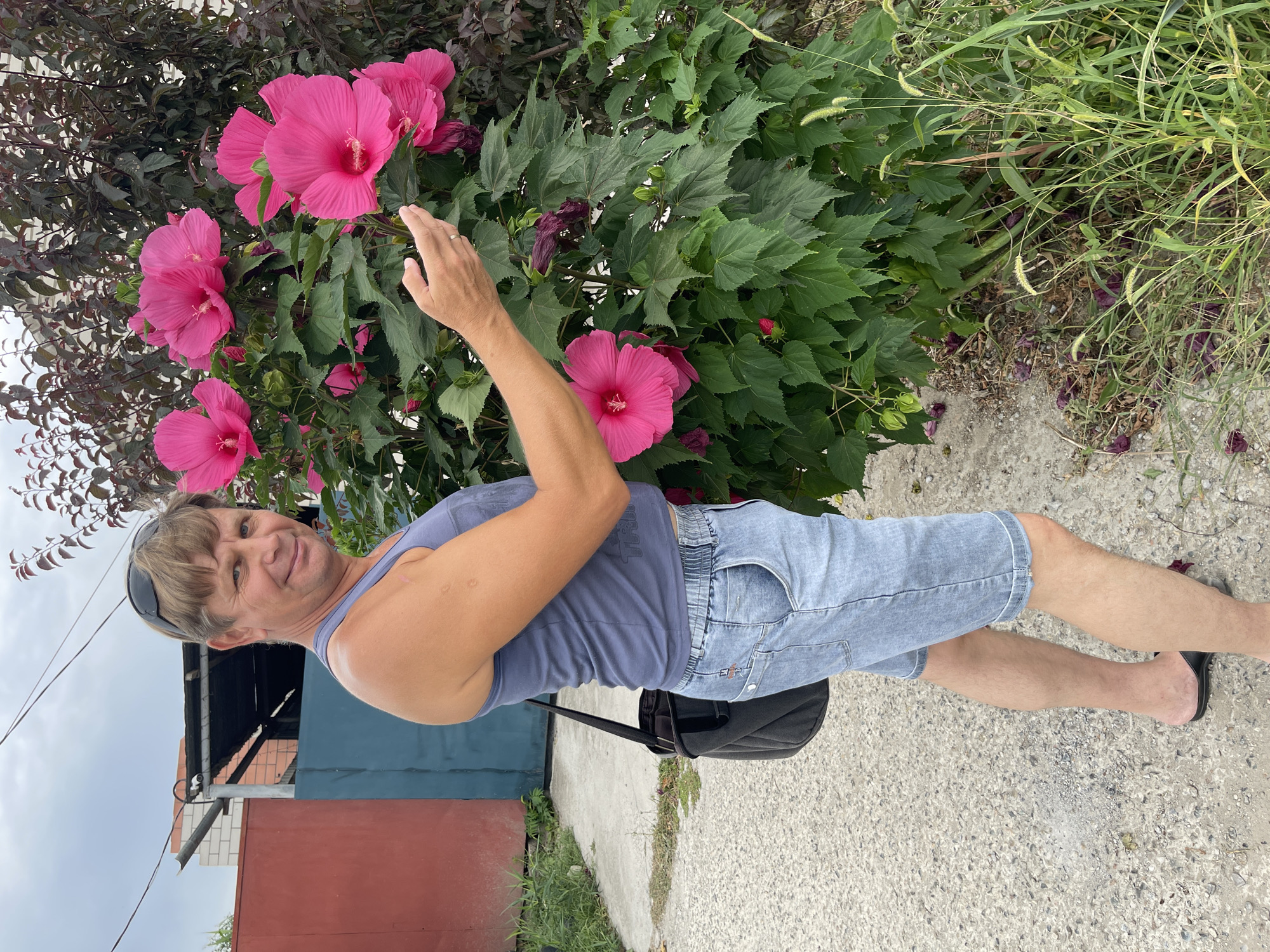 A man stands in front of a large hibiscus bush with vibrant pink flowers. He is wearing a blue tank top, denim shorts, and black slip-on sandals. A dark shoulder bag is slung across his chest. He has short blond hair and is wearing sunglasses on his head. His right hand is extended towards the flowers. The scene appears to be outdoors, possibly in a residential area of Petropavlovskoye, Russia, given the background which includes a red and blue building, a tiled roof, and a concrete pathway. The ground is covered with gravel and grass. The sky is overcast.