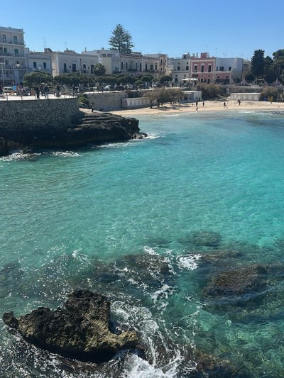 A bright, sunny day illuminates a picturesque coastal scene. The clear, turquoise water of the sea meets the rocky shoreline in the foreground, with waves gently lapping against dark, jagged rocks. Further out, the water transitions into a lighter, more transparent shade, revealing submerged rocks and sand.
In the midground, a sandy beach stretches along the curve of a bay. Several people can be seen walking and relaxing on the beach. Beyond the beach, a stone wall and a promenade are lined with people strolling and enjoying the view. Behind the promenade, a row of buildings stands in the background, their architectural styles varying in shades of white, beige, and pale pink. A tall, green pine tree provides a striking vertical element, breaking the horizontal line of the buildings.
The scene is located in Nardò, Italy.