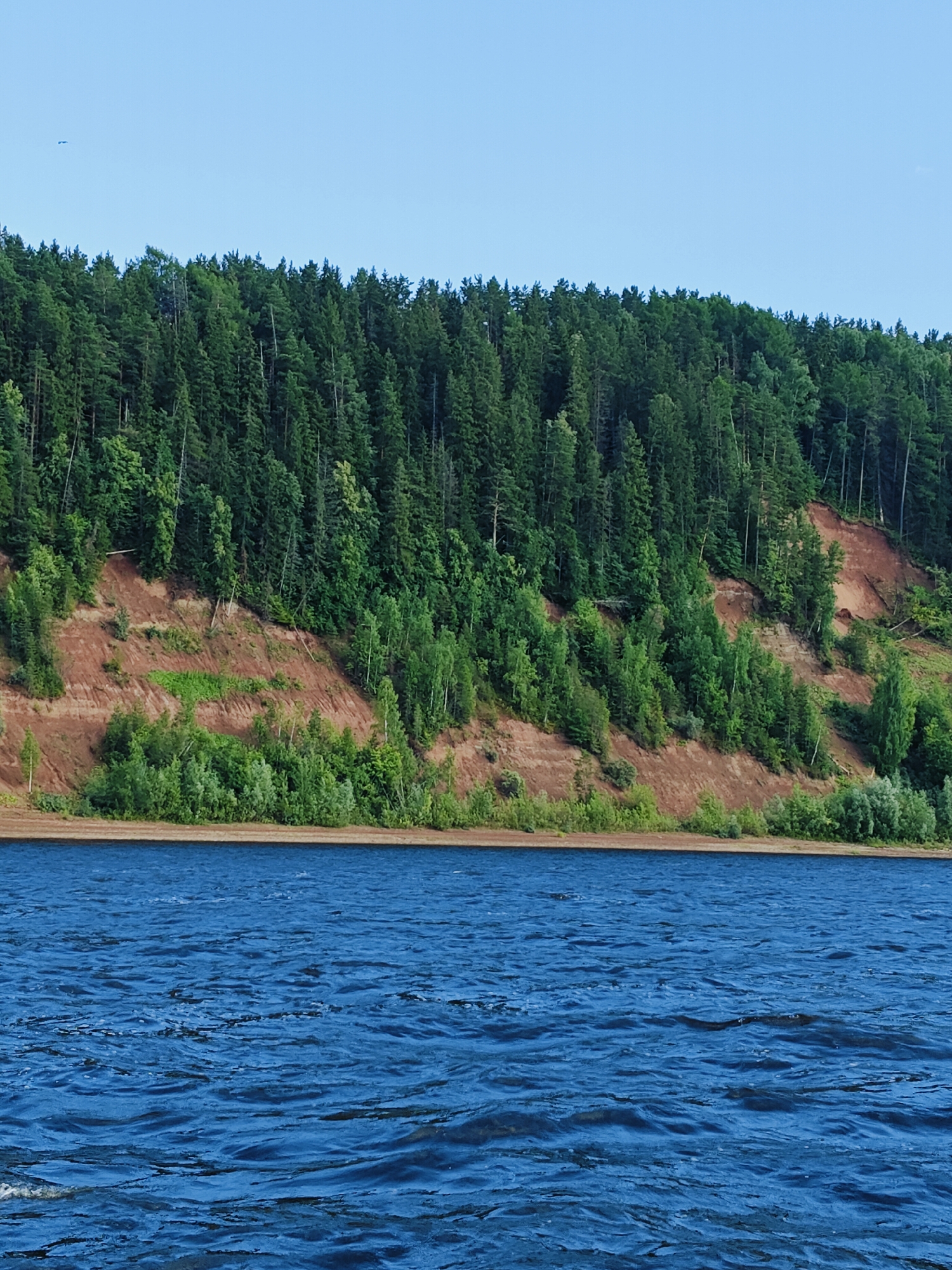A wide, blue river flows in the foreground of the image, with choppy water reflecting the sky. In the background, a steep, reddish-brown embankment rises, covered in dense green coniferous forest. The forest line forms a sharp contrast against the clear, pale blue sky. A small, dark object, possibly a bird, is visible in the upper left quadrant of the sky. The scene appears to be a natural landscape, likely a riverside in a rural or forested area. No people, structures, or urban elements are visible, suggesting a remote or undeveloped location. The overall impression is one of natural beauty and tranquility.