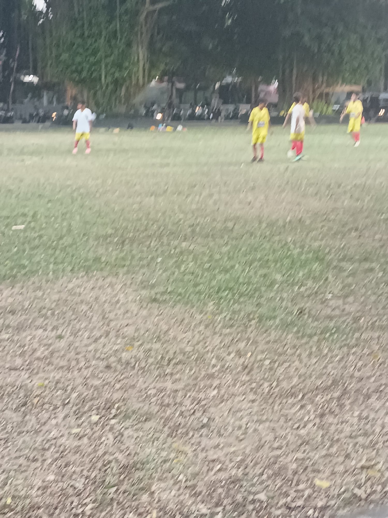 A group of young people, likely male, are on a grassy field, possibly playing soccer. Some are wearing yellow shirts and red shorts, while others are in white shirts and red shorts. The field appears to be located in Sleman, Indonesia, as indicated by the presence of tall trees with dense foliage in the background, characteristic of the region. The lighting suggests it could be late afternoon or early morning. The grass is a mix of green and dry, indicating it is a well-used outdoor space. There are some indistinct objects in the background that could be spectators or additional equipment.
