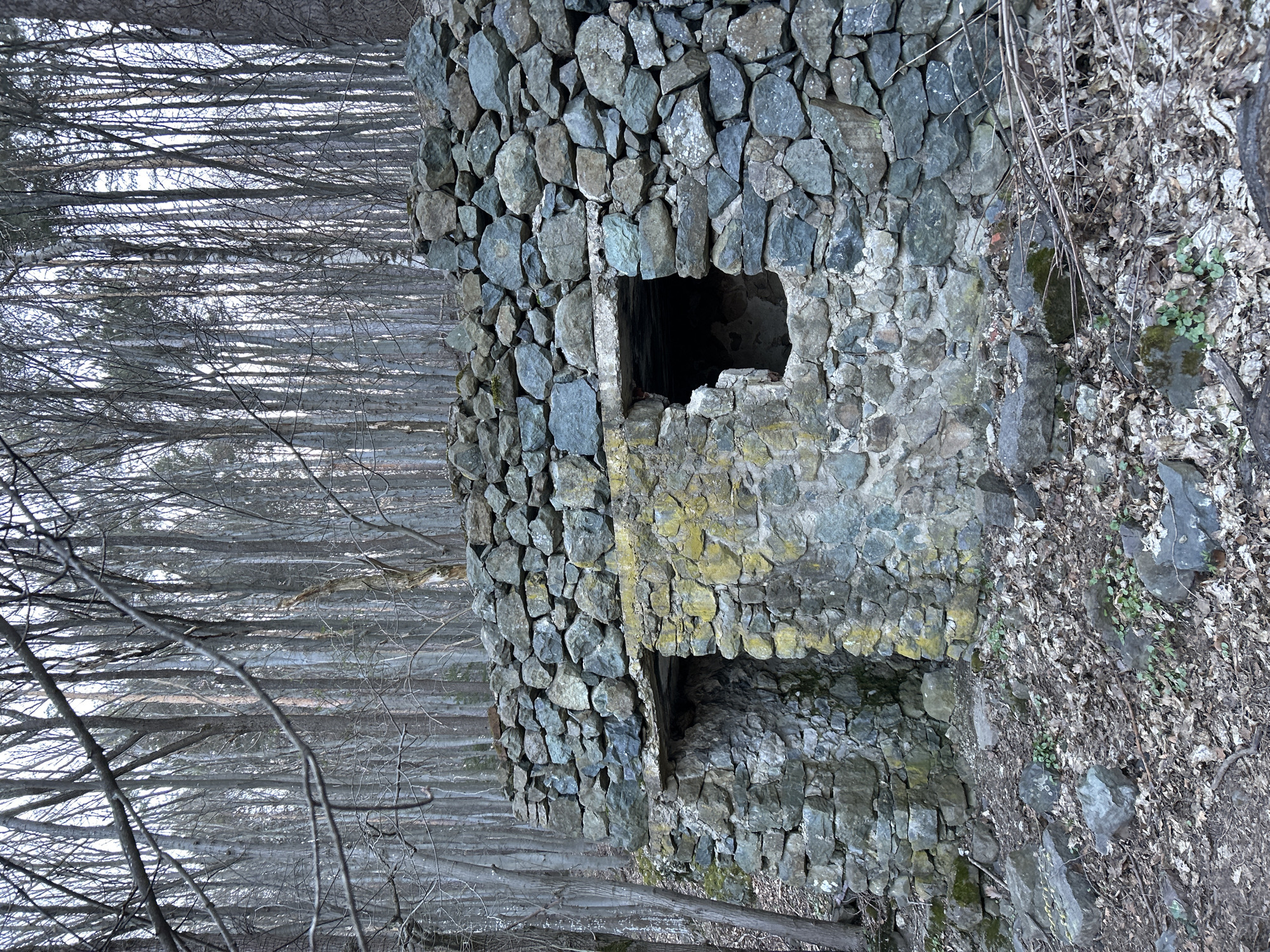 The image shows a stone structure with two openings, likely an old ruin. The structure is made of roughly hewn stones and is surrounded by a forest of bare trees. The ground is covered with fallen leaves. The location is unknown. The environment is a forest in the winter or early spring. No people are visible.