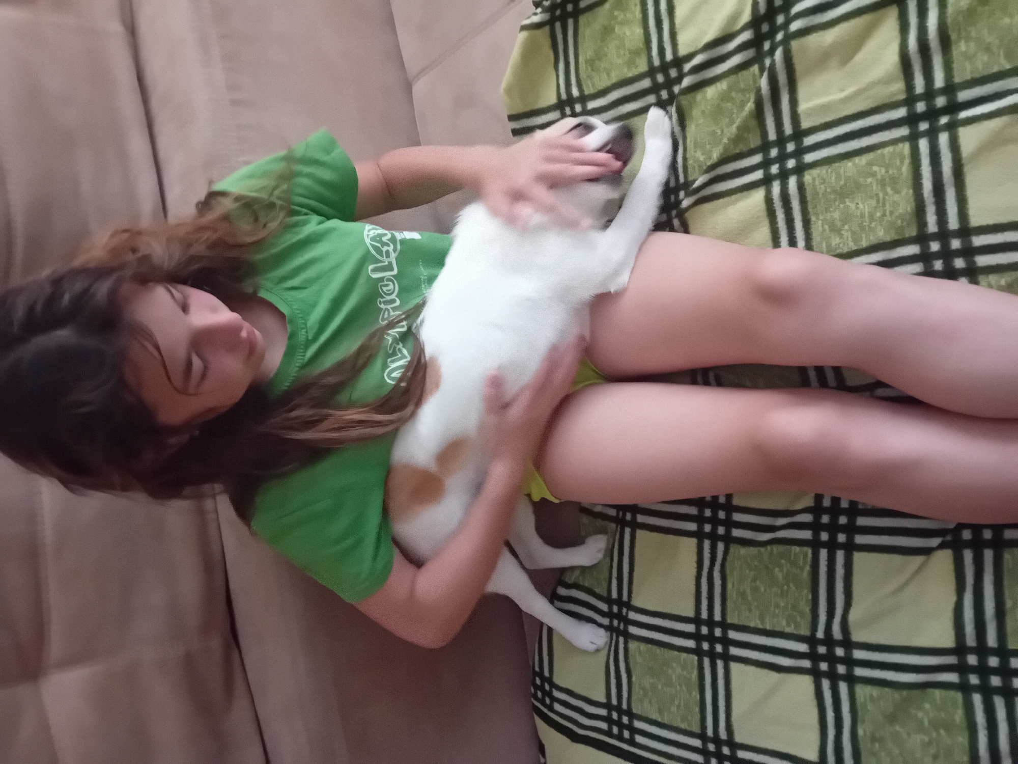 A young person with long brown hair is lying down with a small white dog with brown markings. The person is wearing a green t-shirt with white text, and the dog is resting on their lap. The person's hands are gently touching the dog. The background shows a light brown couch and a green and black checkered blanket. The lighting suggests it is daytime, and there are no visible indications of the weather or specific location beyond what's implied by the indoor setting. The overall mood appears relaxed and affectionate, with the person looking down at the dog with a calm expression. The text on the t-shirt is partially visible and appears to be in a stylized font. The scene is set indoors, likely in a home.