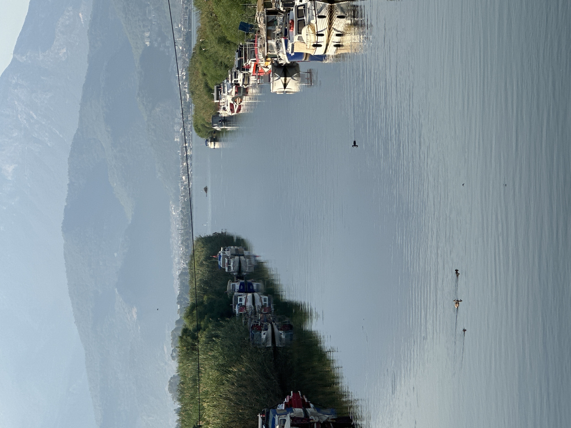 This is a vertical, eye-level photograph taken on a clear day in Fethiye, Turkey, looking down a wide canal. The canal is lined with dense green reeds and trees on the left bank, and on the right bank, a row of small to medium-sized boats are moored. These boats are a mix of white, blue, and red, with some displaying flags. Some of the boats appear to be fishing boats, while others may be used for transport or leisure.
In the canal itself, there are several ducks swimming. In the distance, the canal opens up to a larger body of water, with a town or city visible on the far bank. Beyond the town, hazy, layered mountains rise into the sky, with the uppermost peaks appearing in a lighter shade due to atmospheric perspective. A thin black wire stretches horizontally across the upper portion of the image, likely a power line. The water is calm, with gentle ripples reflecting the sky and the surrounding environment. The scene captures a peaceful, perhaps early morning, atmosphere of a waterside community.