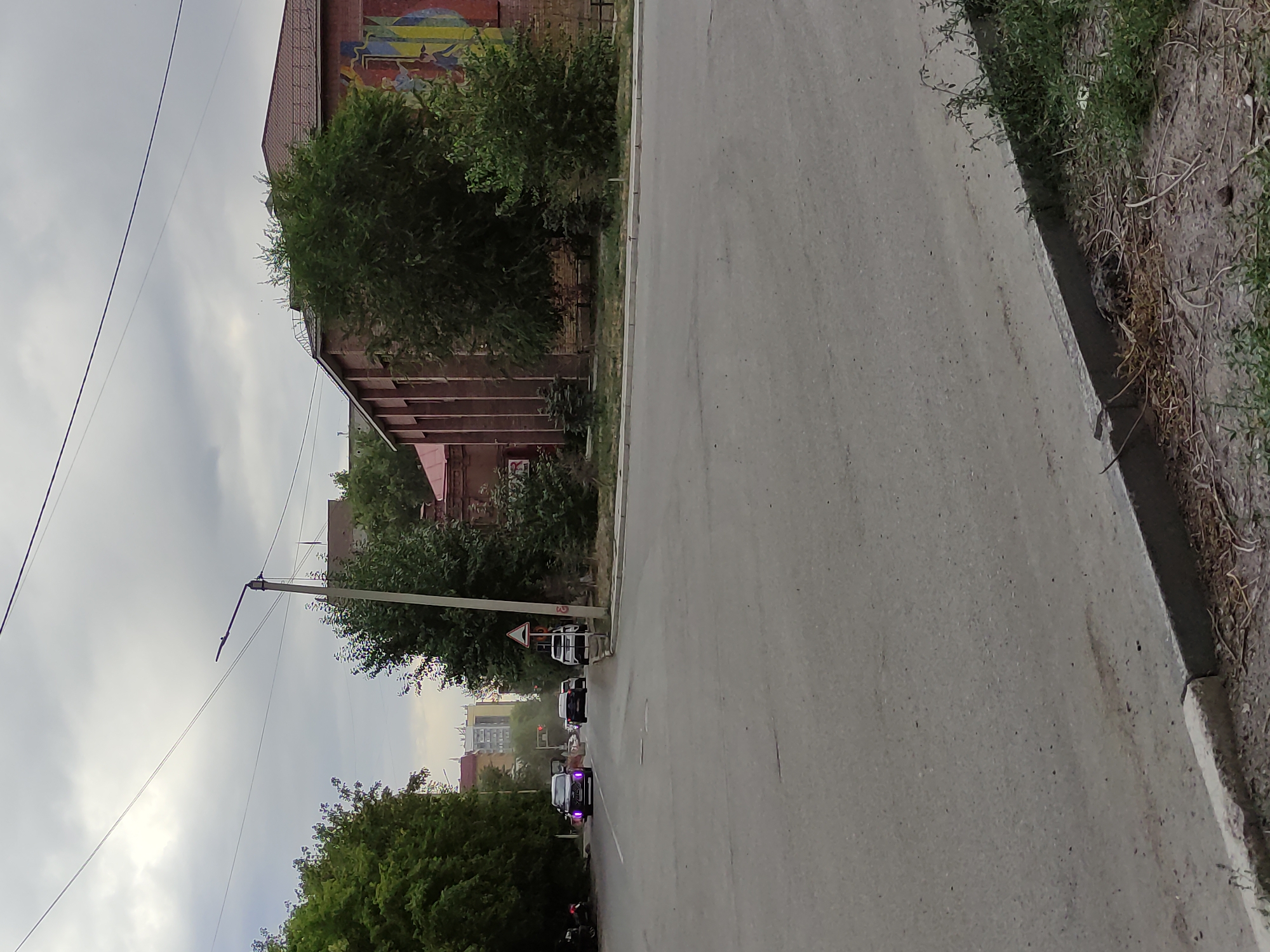 The image shows a street scene in the city of Semey, Kazakhstan. A paved road occupies the foreground, with a concrete curb and dry grass and debris on the right side. In the middle ground, a street lamp with overhead wires stands prominently. Beyond the lamp, several cars are visible on the road. A dark-colored car with purple headlights is approaching from the left, followed by another dark car and a white SUV.
The background features a brick building with a tiled roof and a mural on its side. Trees line the left side of the road, and tall buildings can be seen in the distance. The sky is overcast with gray clouds. The overall impression is that of a slightly dreary, urban environment.