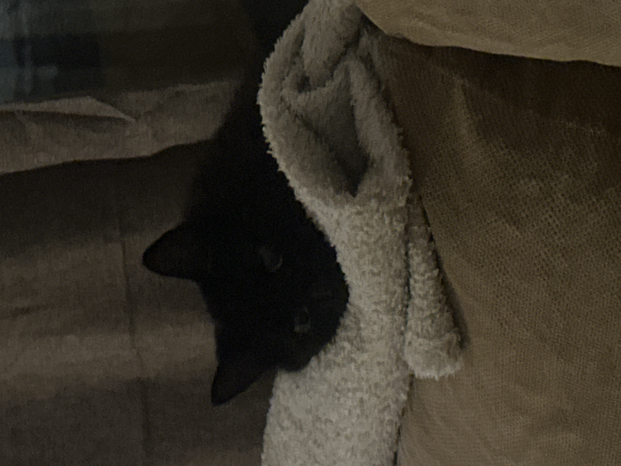 A black cat's head is visible partially obscured by a light gray, fluffy fabric (likely a towel or blanket). The cat's face is positioned to the left of the frame, with its ear and facial features (eyes, nose) visible. The gray fabric is draped or nestled next to the cat. To the right of the gray fabric is what appears to be a tan-colored sofa or upholstered surface. The background to the left of the cat is darker and slightly blurred, likely a sofa or other dark surface. No features indicate this image was taken in Sofia, Bulgaria.