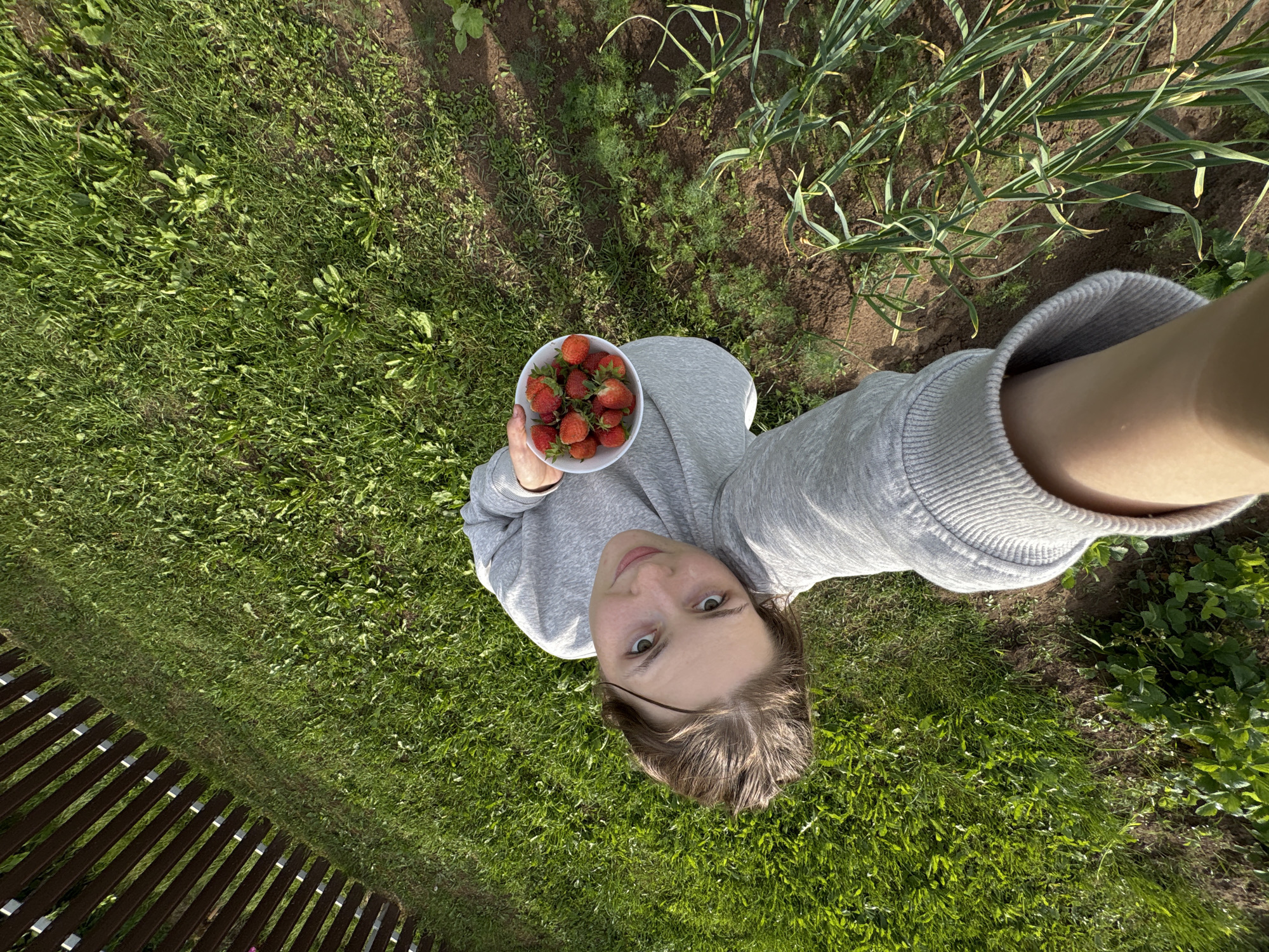 A person is taking a selfie in a garden in Дресвяново, Russia. They are holding a white bowl filled with strawberries and are wearing a grey sweatshirt. The person has brown hair and green eyes and appears to be smiling. The background of the image shows a garden with rows of plants, including what appears to be garlic and dill, as well as a patch of grass and a wooden fence. The sun is shining, casting shadows on the ground, suggesting it is daytime. The overall mood of the image is cheerful and relaxed.