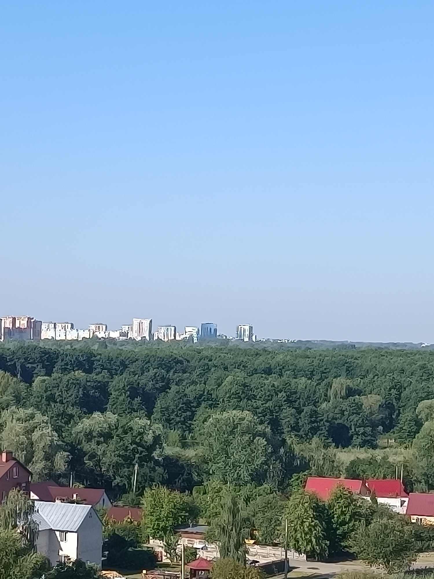 A panoramic view of a distant city skyline against a clear blue sky, with a dense forest in the middle ground and a residential area in the foreground. The city appears to be located in Brest, Belarus. The skyline consists of numerous high-rise buildings, some appearing to be residential apartment blocks. The forest is a thick canopy of green trees, suggesting a natural landscape surrounding the urban area. In the foreground, there are several houses with red and silver roofs, indicative of a suburban or rural setting. The scene is peaceful and illuminated by daylight, with no people visible.