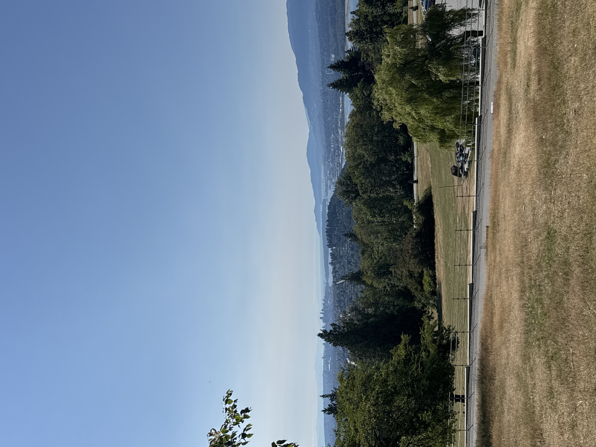 This is a photograph of the Vancouver skyline as seen from Burnaby, Canada. The foreground features a dry, grassy slope with a paved path and a metal railing. Beyond the path, there is a large weeping willow tree and a patch of dry grass with some rocks. In the middle ground, there is a dense forest of evergreen and deciduous trees. The background showcases the Vancouver skyline with its skyscrapers, the Burrard Inlet, and the North Shore Mountains. The sky is clear and blue with a slight haze in the distance. The overall impression is a sunny day with a panoramic view of the city and its natural surroundings.