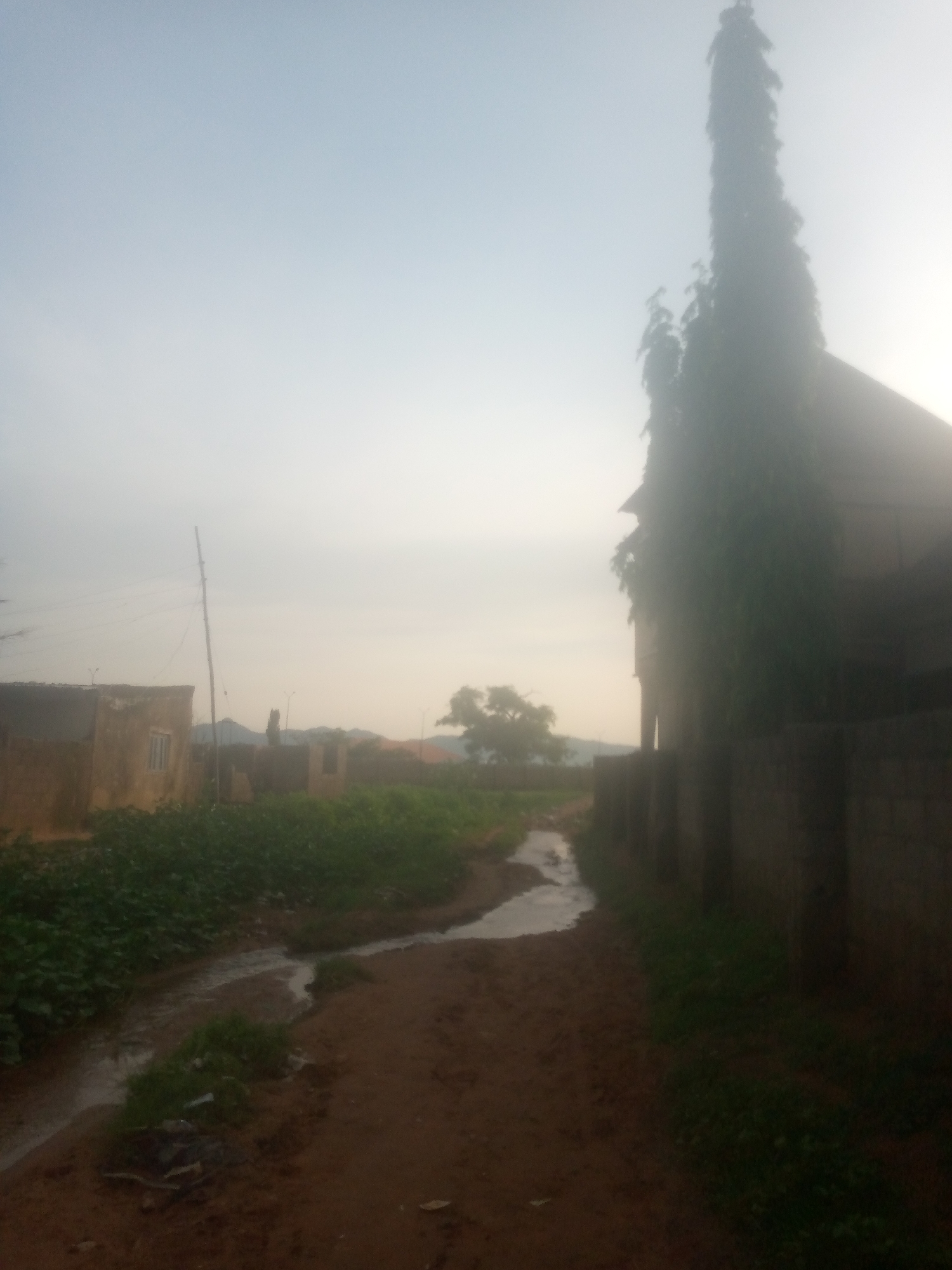 The image depicts a dirt road with a shallow stream of water running alongside it in Jalingo, Nigeria. The road is flanked by green vegetation on the left and a stone wall on the right. In the background, several buildings are visible, including a house with a window and a tall, slender tree. The sky is overcast with a pale, hazy light, suggesting either early morning or late afternoon. The overall scene is one of a rural or semi-urban environment, with a sense of quietude. No people are present in the frame.