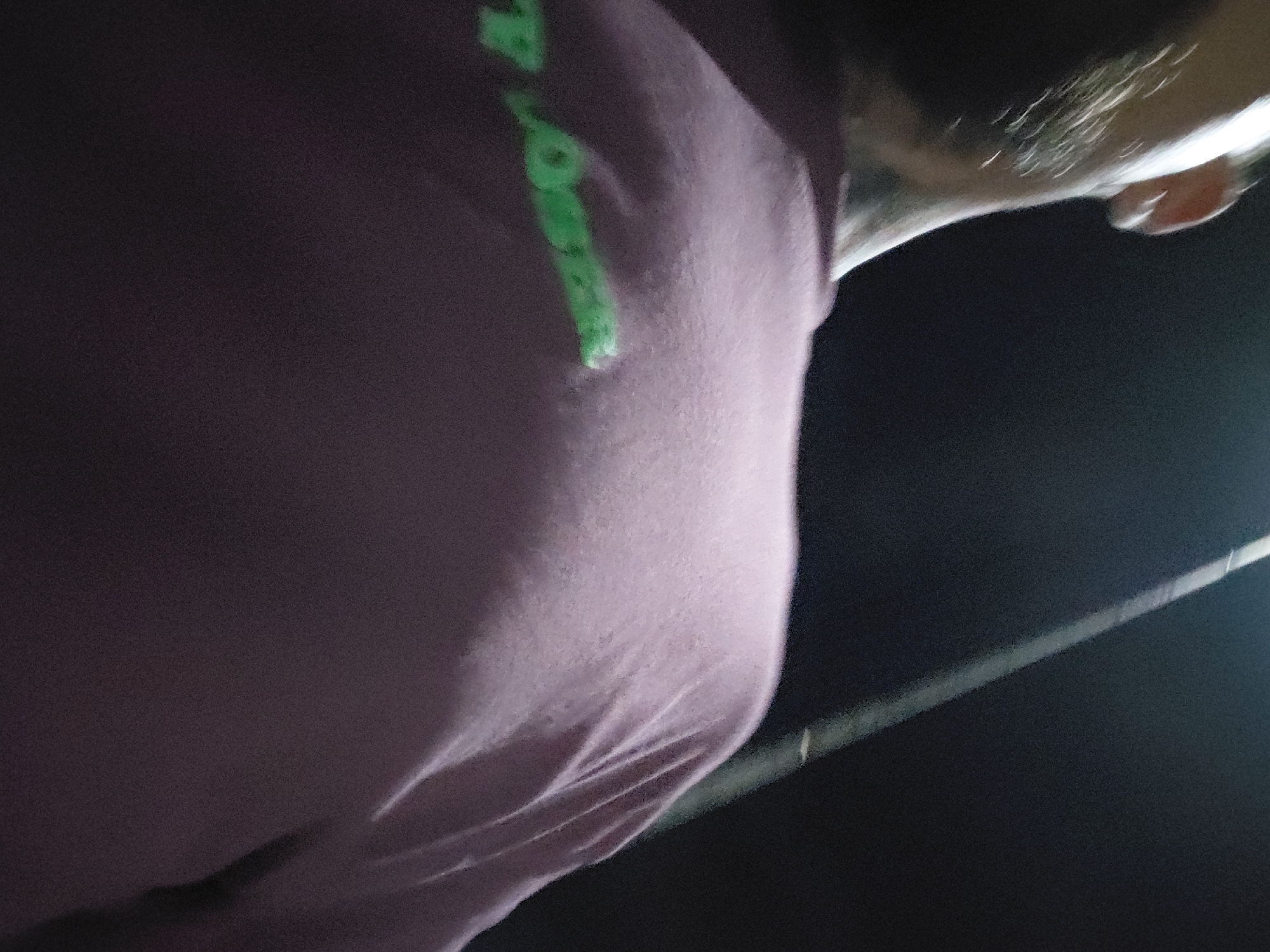 The image shows the upper body of a person wearing a purple t-shirt with green lettering that reads "TOP LOSER". The person is facing away from the camera, with only the side of their head and neck visible. The lighting is dim, suggesting the photo was taken at night. A thin, bright line is visible in the background, which could be a streetlight or a reflection. The overall scene is underexposed and grainy, making it difficult to discern fine details of the environment. It is not possible to determine the location in Plovdiv, Bulgaria based on the provided image.