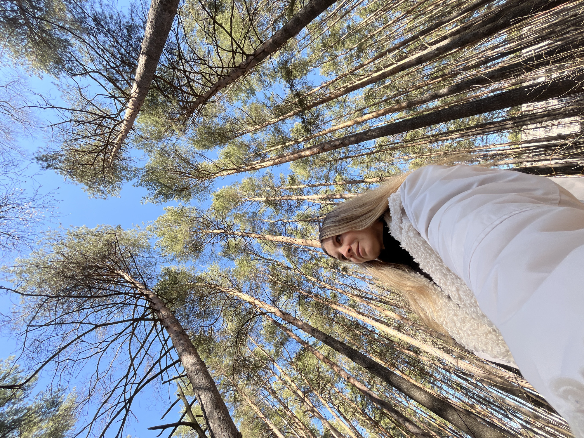 The photograph depicts a woman standing in a forest near the city of Chaikovsky, Russia. She is wearing a white jacket with a furry collar, and her blonde hair is visible. The photograph is taken from a low angle, looking up at the trees, which are tall and slender, with a blue sky visible through the branches. The perspective gives the impression of being surrounded by a dense forest.