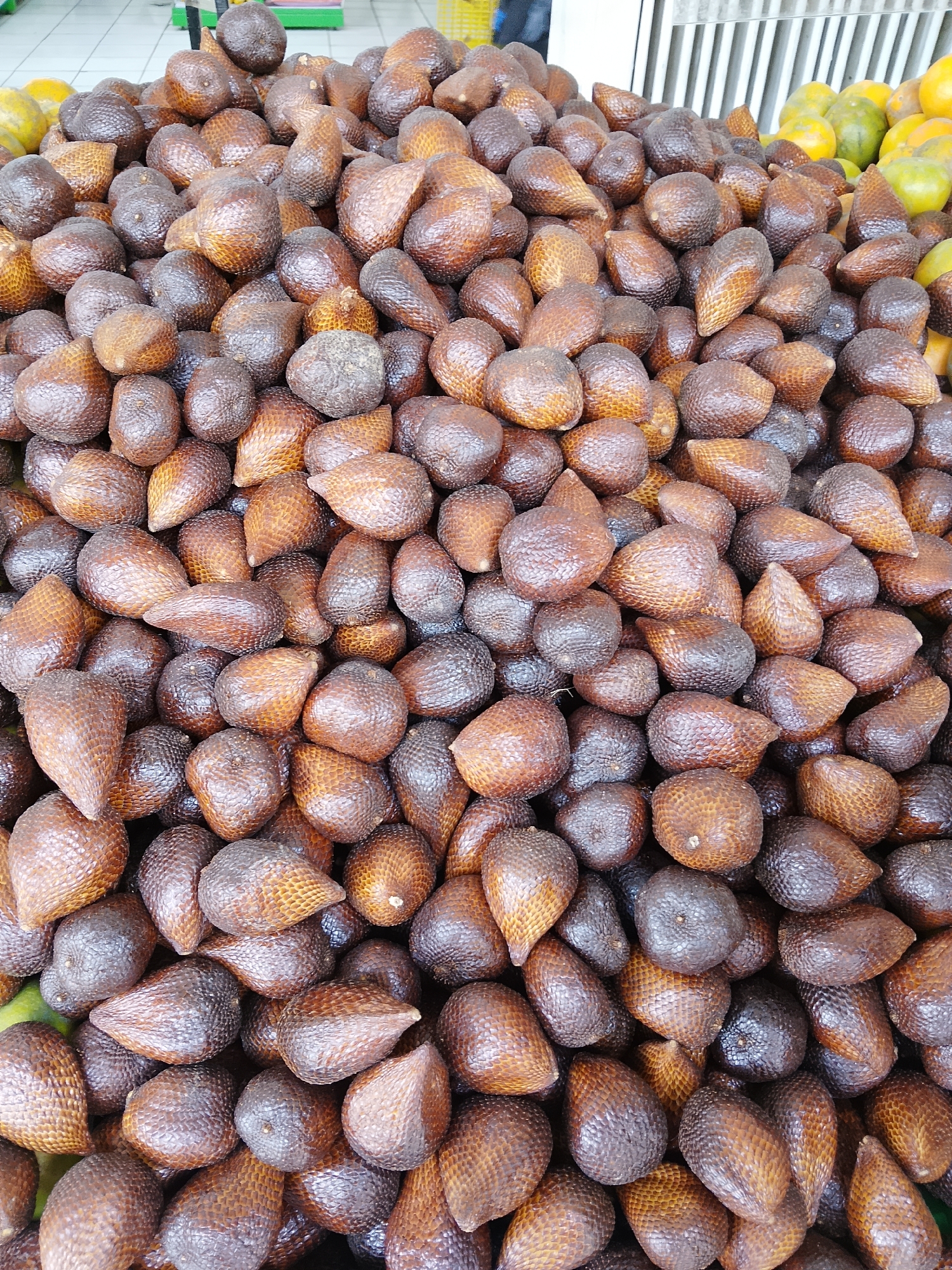 In Karangboyo, Indonesia, a close-up, overhead shot captures a large pile of Salak fruit, also known as snake fruit, arranged in a marketplace display. The fruit's distinctive scaly, reddish-brown skin dominates the frame, creating a textured surface with variations in color from light tan to dark brown. The Salak are tightly packed, with some fruits overlapping. The overall impression is of abundance and a vibrant display of local produce. The background is blurred, but hints of other fruits, possibly oranges and lemons, are visible to the right, and a striped metal structure is present further in the background. The lighting appears to be overhead, casting subtle shadows and highlighting the fruits' textures. No people are visible in the image.