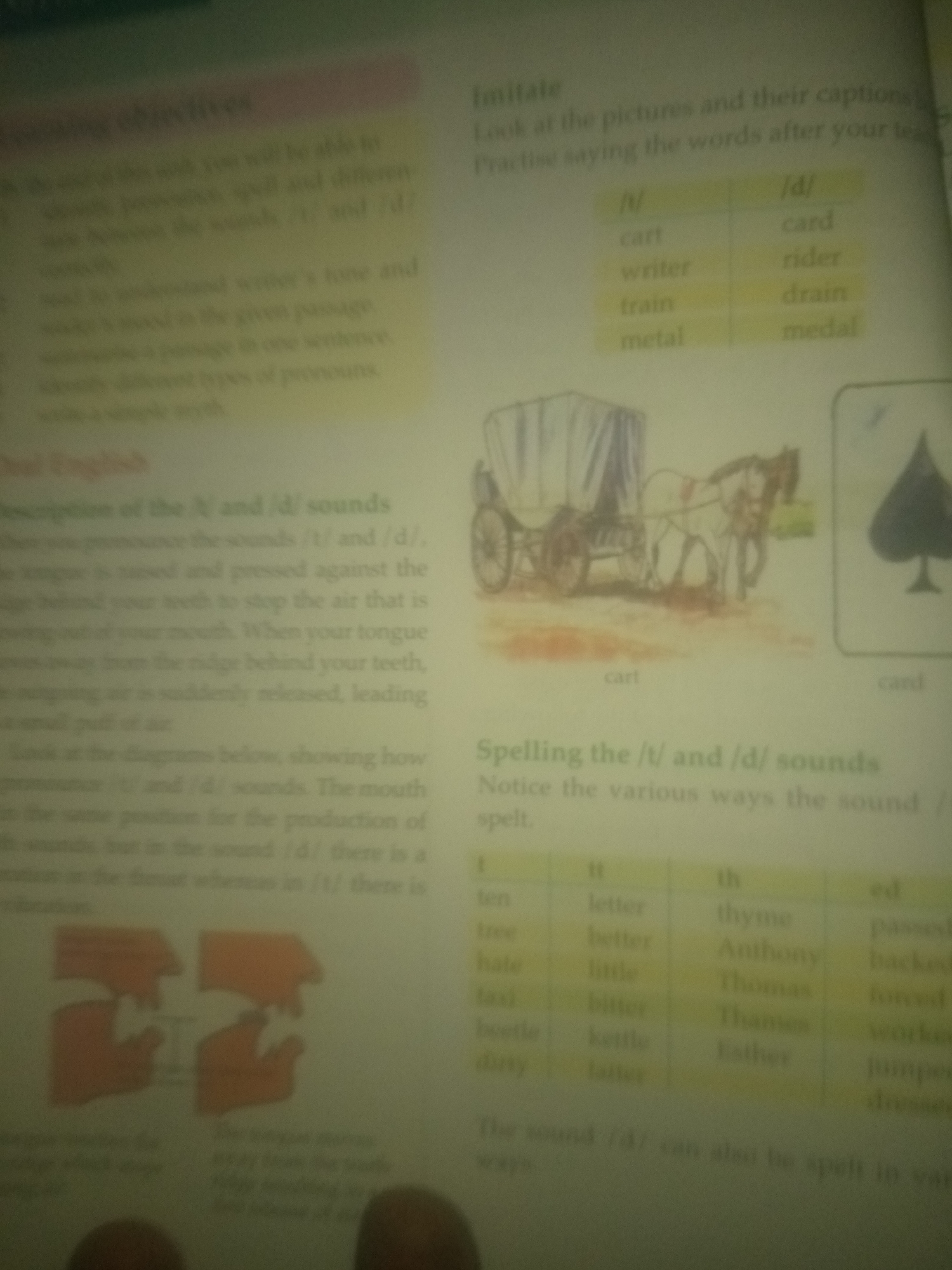 The image is a close-up, slightly angled, and blurry photograph of a page from an educational book. The page features text and illustrations related to English language learning, specifically focusing on pronunciation.
The top left section of the page has a heading that appears to be "Learning Objectives." Below this are bullet points listing learning goals.
The top right section has a heading "Imitate." This is followed by instructions to look at pictures and practice saying words. Below this is a two-column table with the headings "/t/" and "/d/". The table lists words such as "cart," "writer," "train," and "metal" in the "/t/" column, and "card," "rider," "drain," and "medal" in the "/d/" column.
Below the table, there is an illustration of a horse-drawn cart. The cart is white with a canvas cover. Two horses are harnessed to the cart. To the right of the cart illustration is a black spade symbol, likely representing a playing card suit.
Further down the page, there is a heading "Spelling the /t/ and /d/ sounds." This is followed by text explaining how these sounds are produced and how they can be spelled. There is another table with columns labeled "t," "tt," "th," and "ed." This table contains lists of words under each heading, such as "ten," "letter," "thyme," and "passed."
At the bottom of the page, there are two diagrams illustrating the positions of the mouth for producing sounds.
The environment is that of an indoor setting, likely a classroom or study area, given the presence of the book. There are no identifiable elements that place the scene in a specific city or country, including Jauro Yinu, Nigeria.