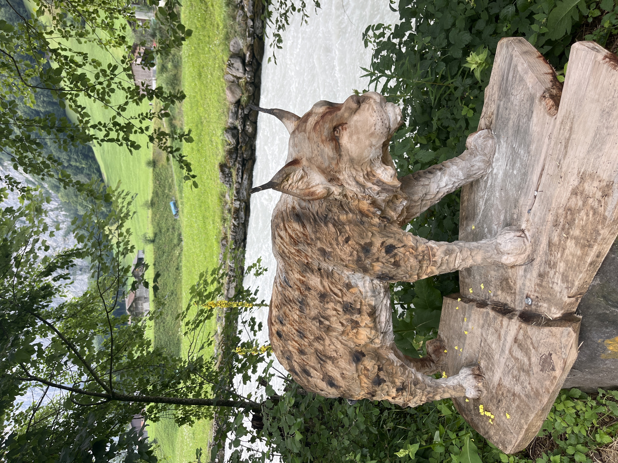 A wooden sculpture of a lynx stands on a natural wooden platform outdoors. The lynx sculpture is detailed, with carved fur patterns and facial features. It is positioned on a split log that has been repurposed as a base, with small yellow flowers scattered on its surface. The background depicts a lush green hillside with scattered wooden buildings, typical of a Swiss Alps village. A fast-flowing river is visible behind the sculpture, bordered by a stone wall and vegetation. The overall scene suggests a scenic outdoor location, likely in Wengen, Switzerland, given the architectural style and mountainous landscape.