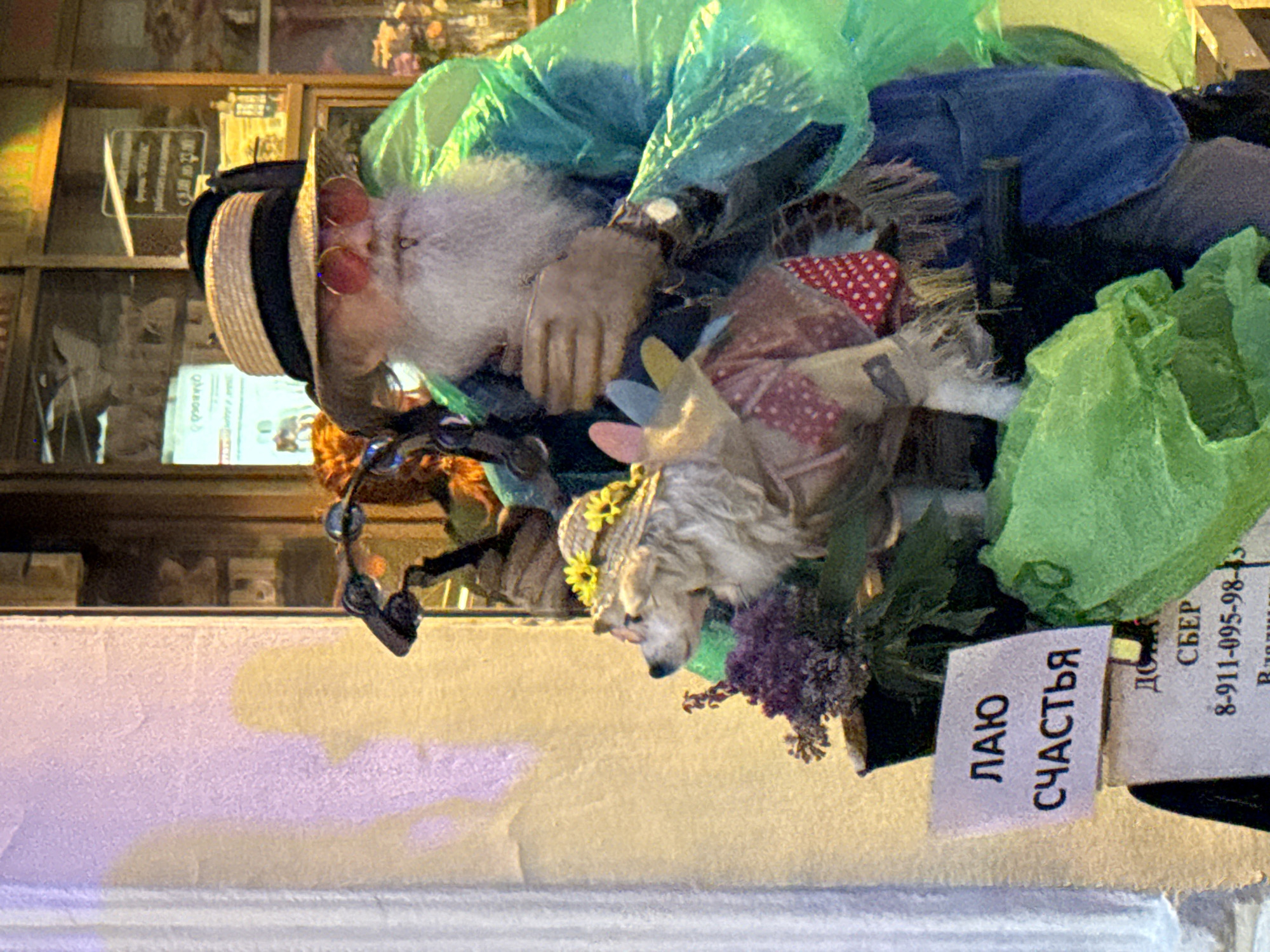 The image depicts a street display in Saint Petersburg, Russia, featuring two figures: a man with a long white beard, wearing a straw hat with a black band, round red-tinted glasses, and a bright green poncho, and a dog dressed in a straw hat adorned with yellow flowers and a checkered outfit. The man is holding what appears to be a bouquet of flowers, possibly with a cigar in his mouth. The dog is wearing pink wings and is positioned in front of the man.
In the foreground, there is a white sign with black Cyrillic text that reads "ЛАЮ СЧАСТЬЯ" (LAJU SCHAST'YA, meaning "Barking Happiness"). Below this, another sign is partially visible with the words "ДОМ СБЕР" (DOM SBER, meaning "Sberbank House") and a phone number "8-911-095-98-15". A purple flower arrangement is placed to the left of the dog. The background shows a store window with reflections of the street. The overall scene appears to be an outdoor exhibition or shop display on a city street.
