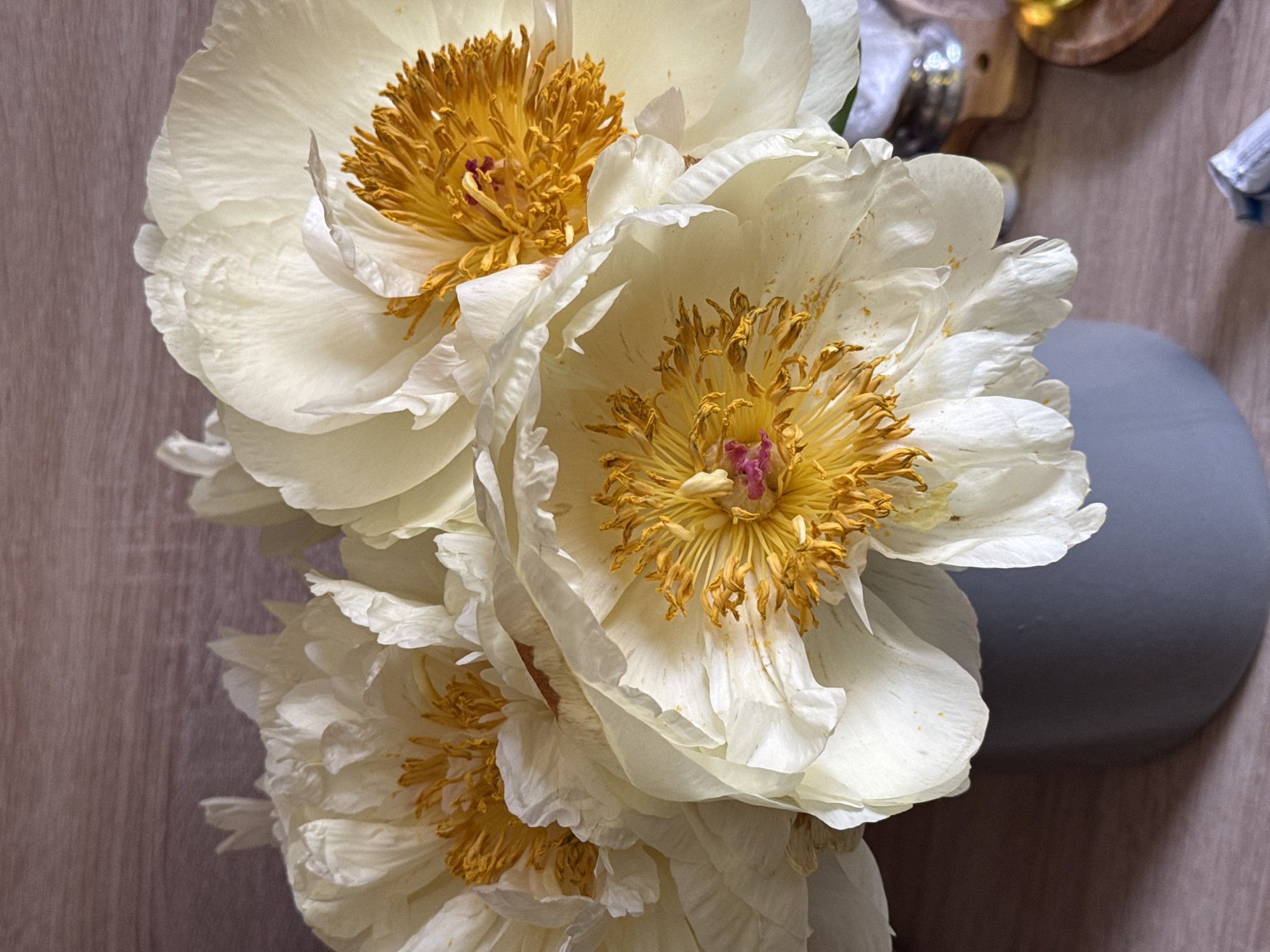 A close-up, high-angle shot displays three white peonies with yellow centers. The flowers are arranged in a gray vase, which is placed on a wood-grain surface. Other objects are visible in the blurred background including a silver object, some golden objects and a piece of blue paper. The scene's location cannot be determined from the image alone.