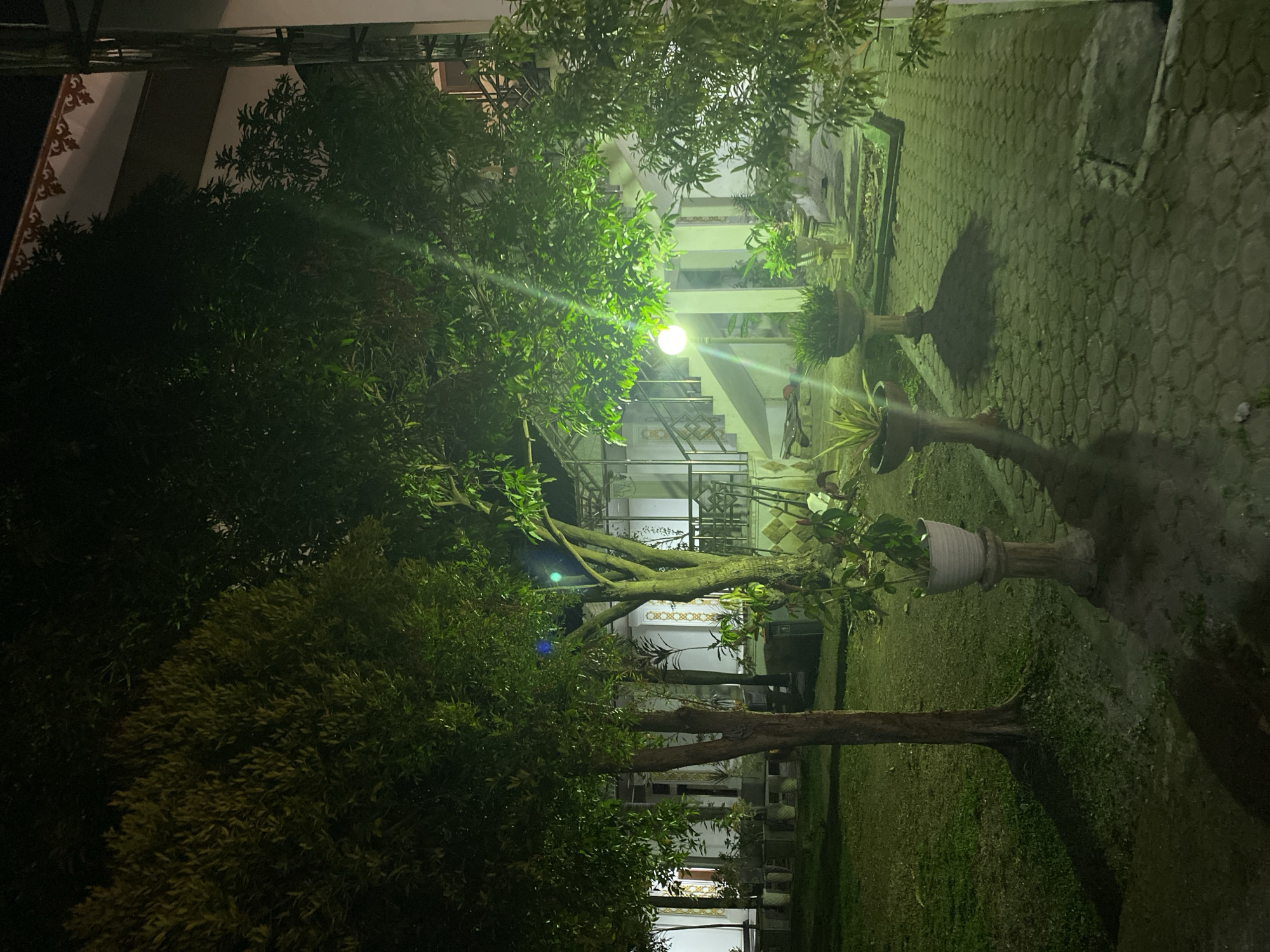 The image depicts a dimly lit outdoor scene at night. In the foreground, a paved pathway with a hexagonal pattern is visible, partially illuminated by an overhead light. To the left of the pathway, a grassy area is present with a tree. Several potted plants are arranged along the pathway, some on pedestals. In the background, a building with a staircase and a railing can be seen. The building appears to have an ornate trim along the roofline. The overall impression is of a well-maintained outdoor area adjacent to a building, likely a residential or commercial property.