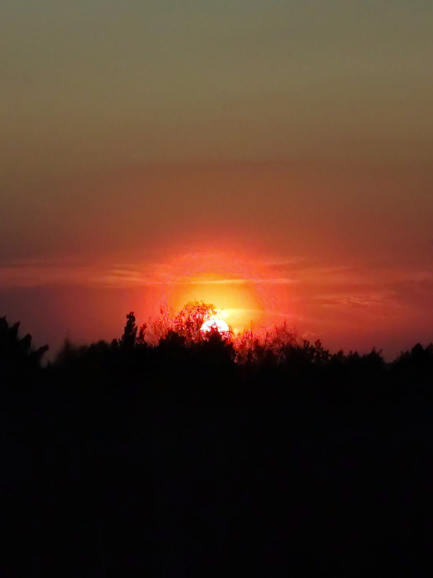The image shows a sunset in Марковский, Russia. The sun is partially obscured by trees in the foreground. The sky is a gradient of colors, ranging from orange and red near the horizon to a muted green-grey at the top of the frame. The trees are dark silhouettes against the bright sky.